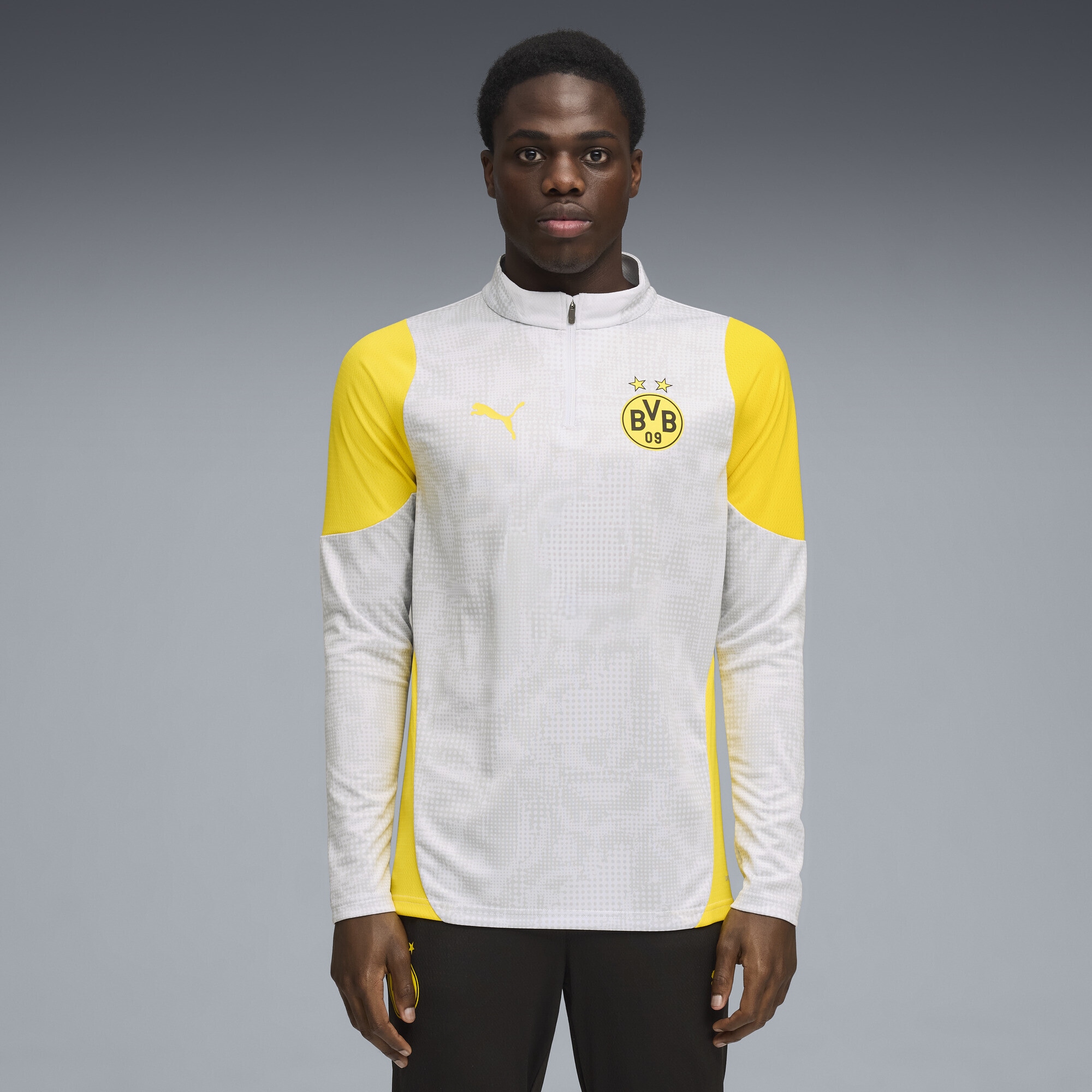 PUMA T-Shirt »Borussia Dortmund Trainingstop Herren«
