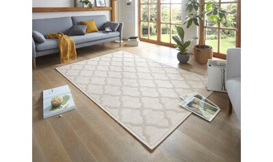 freundin Home Collection Teppich »Heaven«, rechteckig, 4 mm Höhe, Flachgewebe Makramee... kaufen