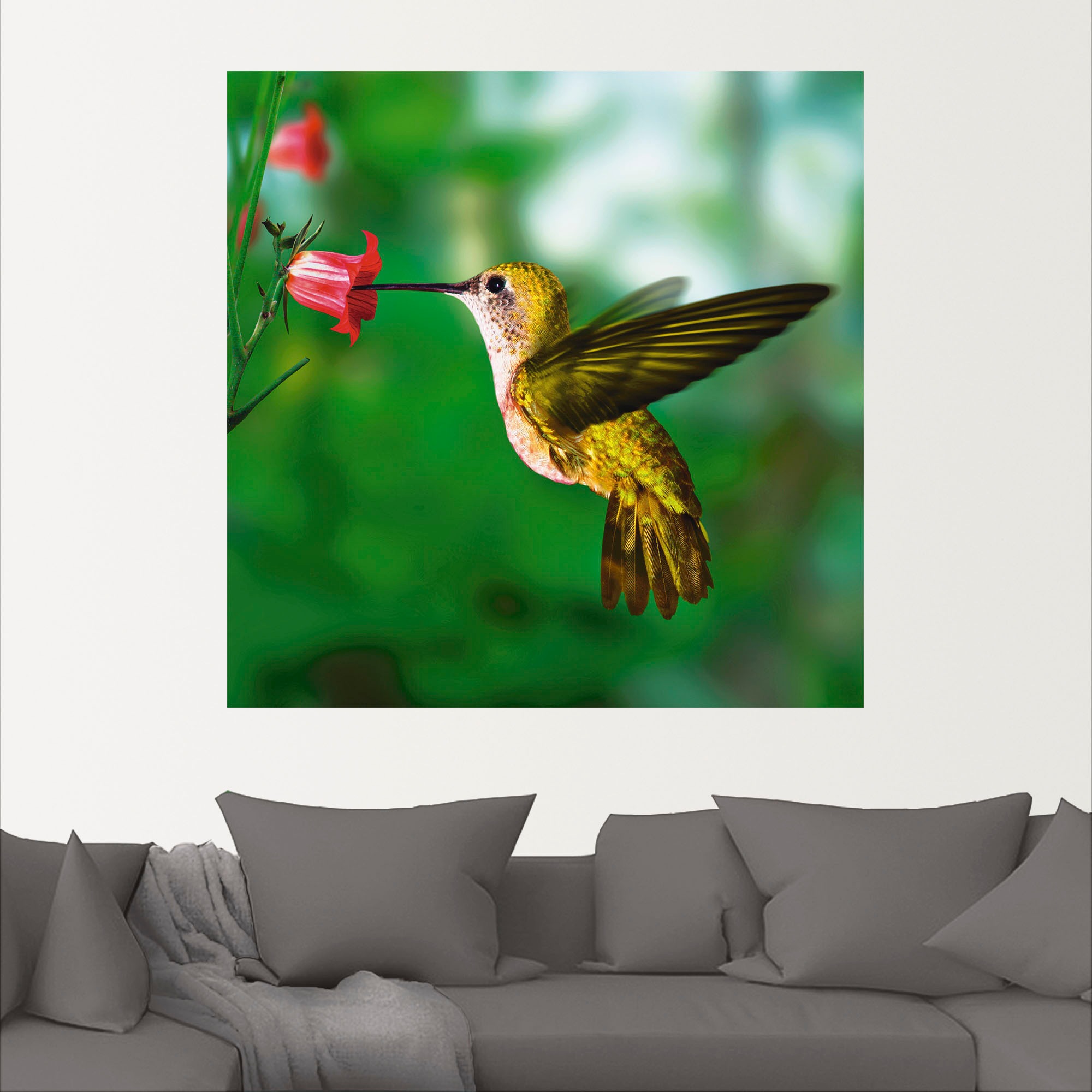 Artland Wandbild »Kolibri«, Vögel, (1 St.), als Alubild, Outdoorbild, Leinwandbild, Poster in verschied. Größen