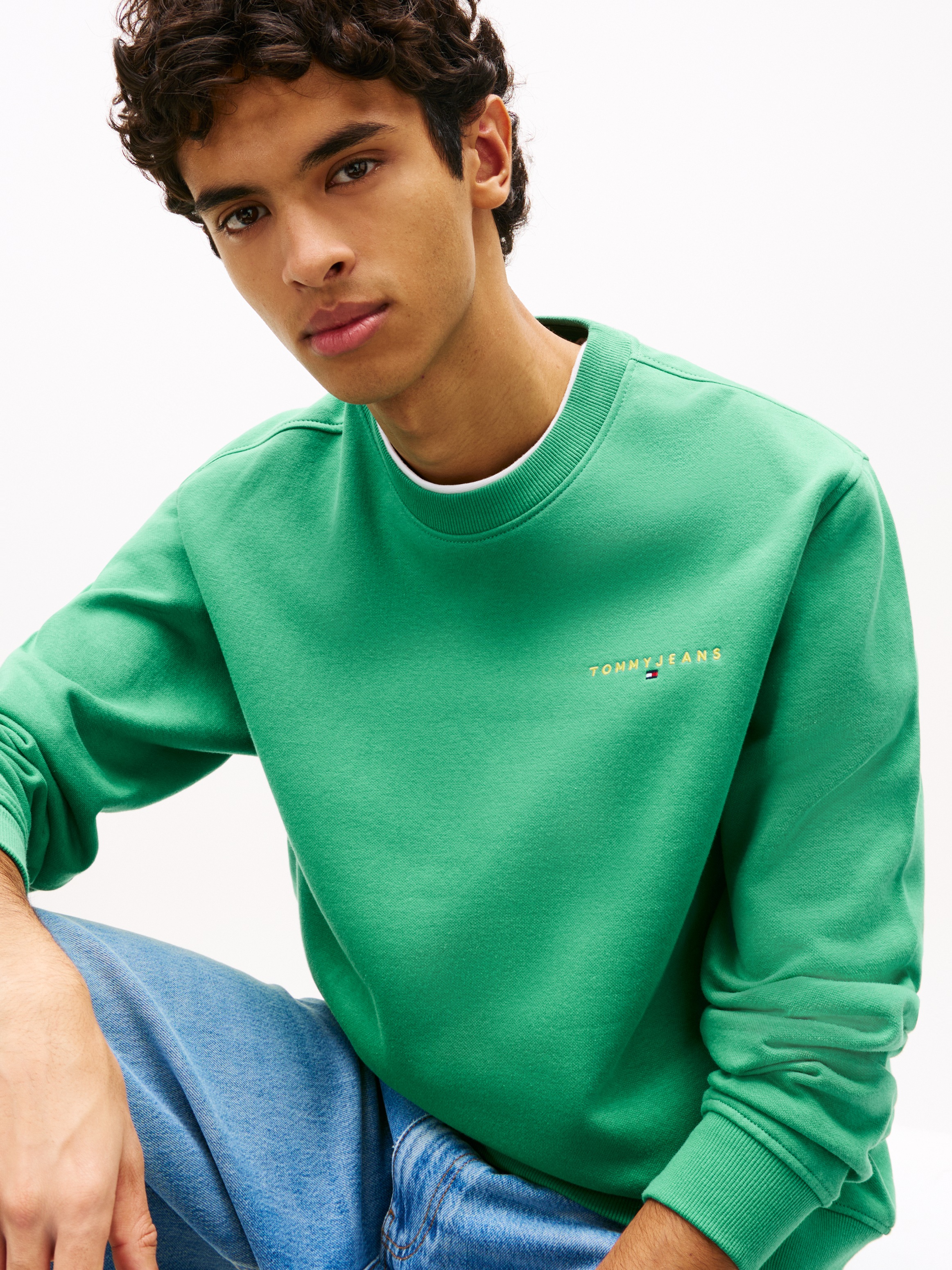 Tommy Jeans "TJM REG LINEAR CREW EXT", mit Logostickerei günstig online kaufen