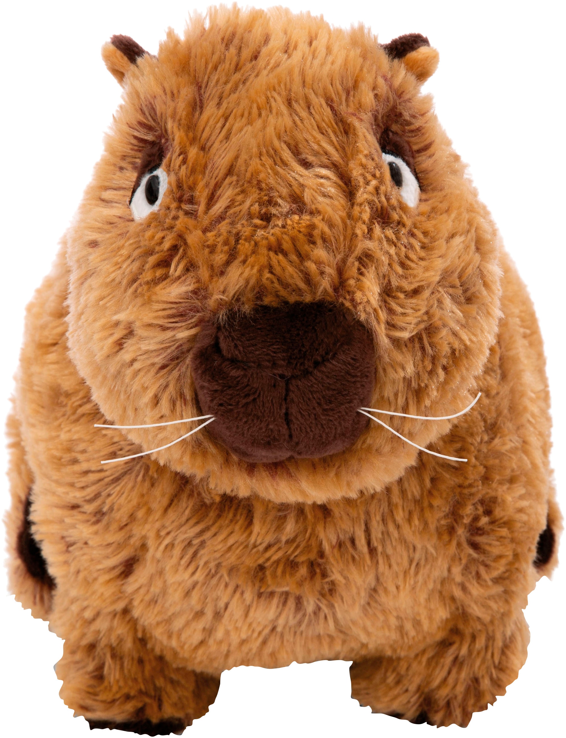 Nici Kuscheltier »Capybara Capy-Barbara, 37 cm«, sitzend
