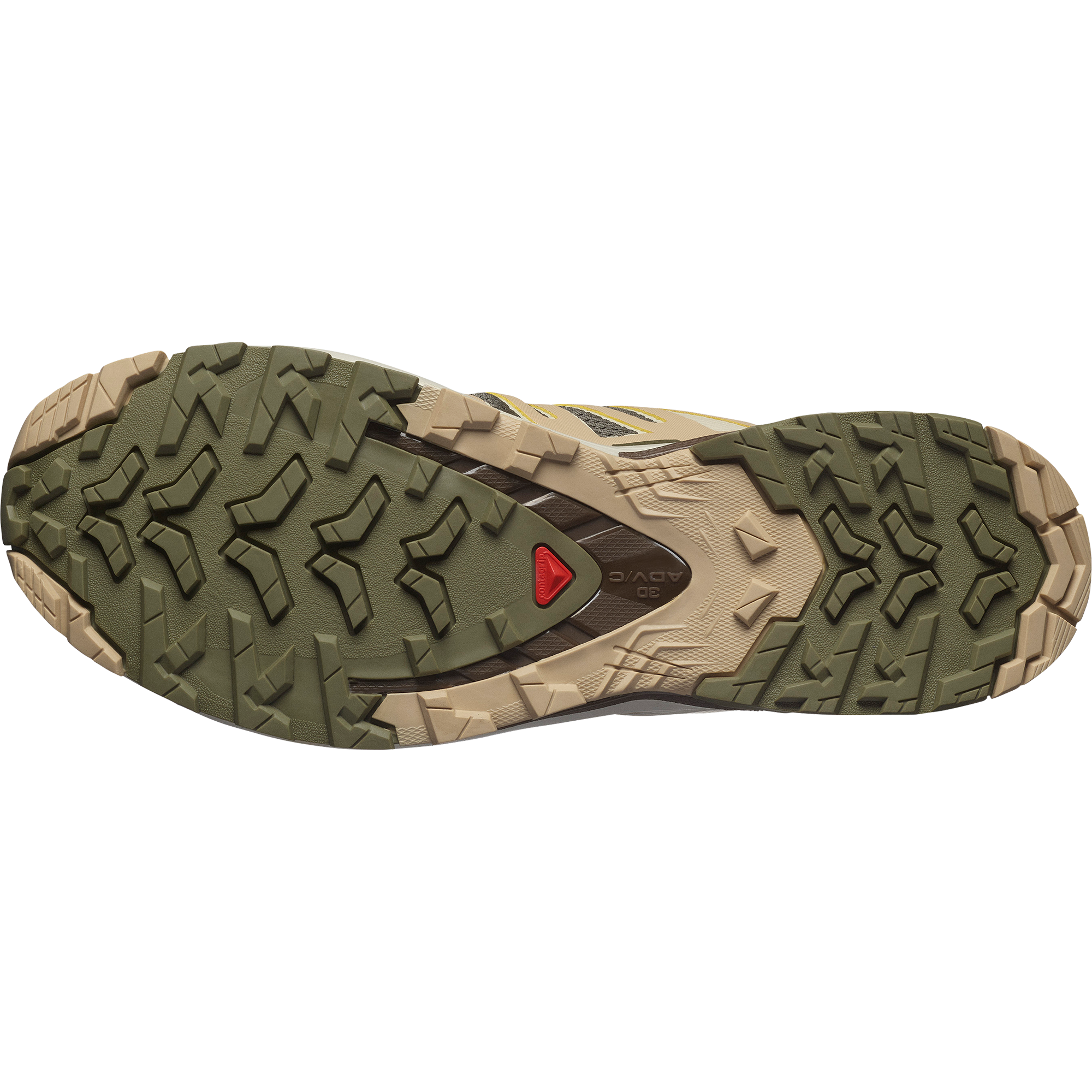 Salomon Trailrunningschuh »XA PRO 3D V9«