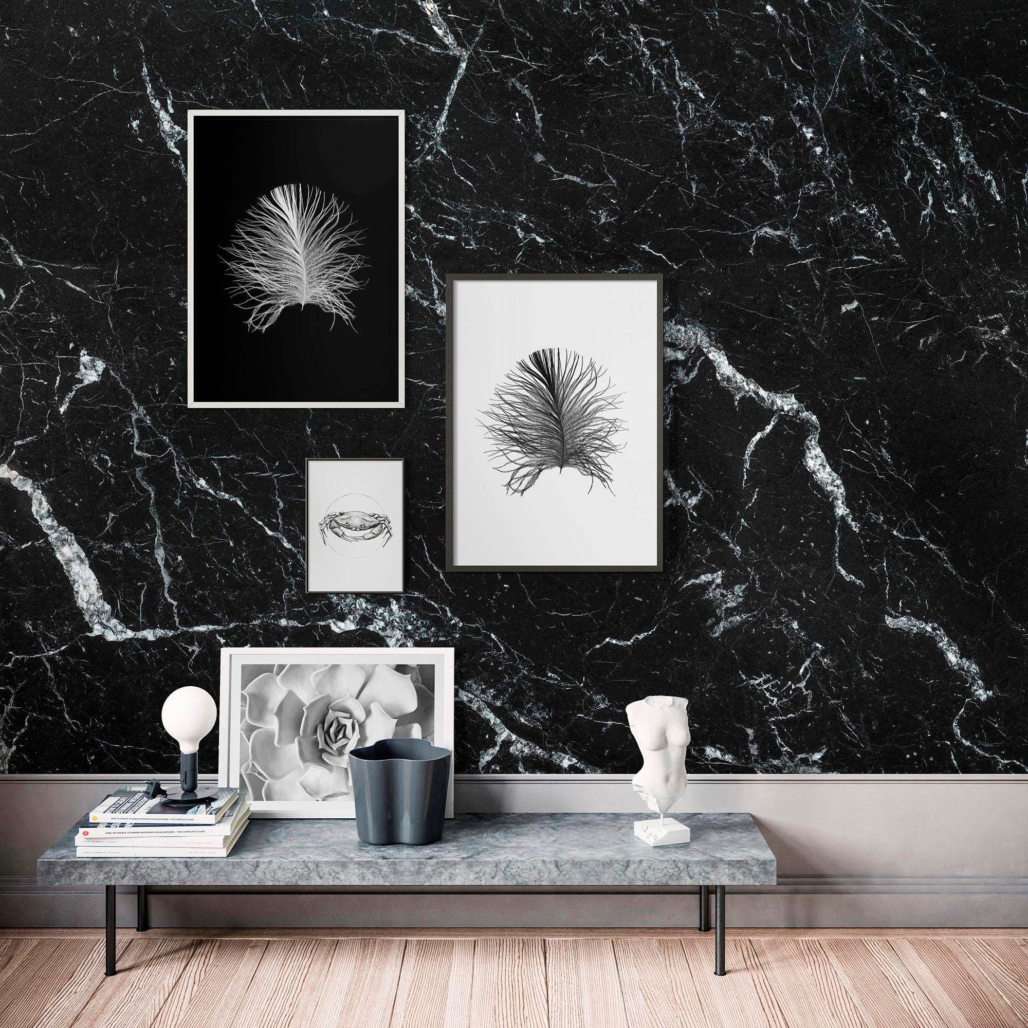 Komar Bild »Feather Black«, Federn, (1 St.), Wandbild zur Dekoration - ohne Rahmen