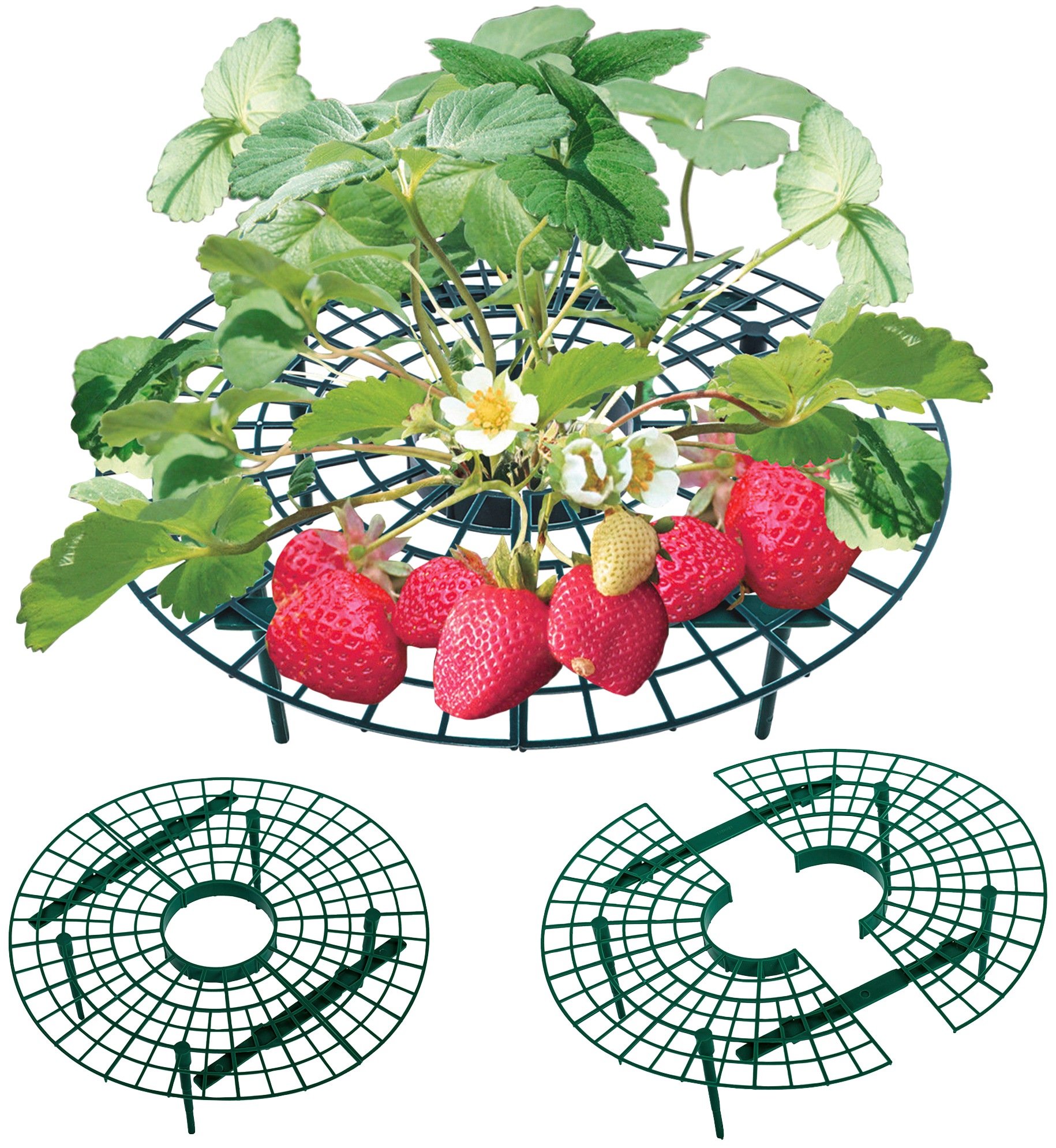 UPP Rankhilfe »Frucht-Reifer«, (5 St.), für Erdbeeren, Salat, Tomaten