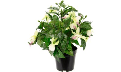 I.GE.A. Kunstblume »Fuchsien«, Im Topf Zimmerpflanze Deko Doppelblütenblätter... kaufen