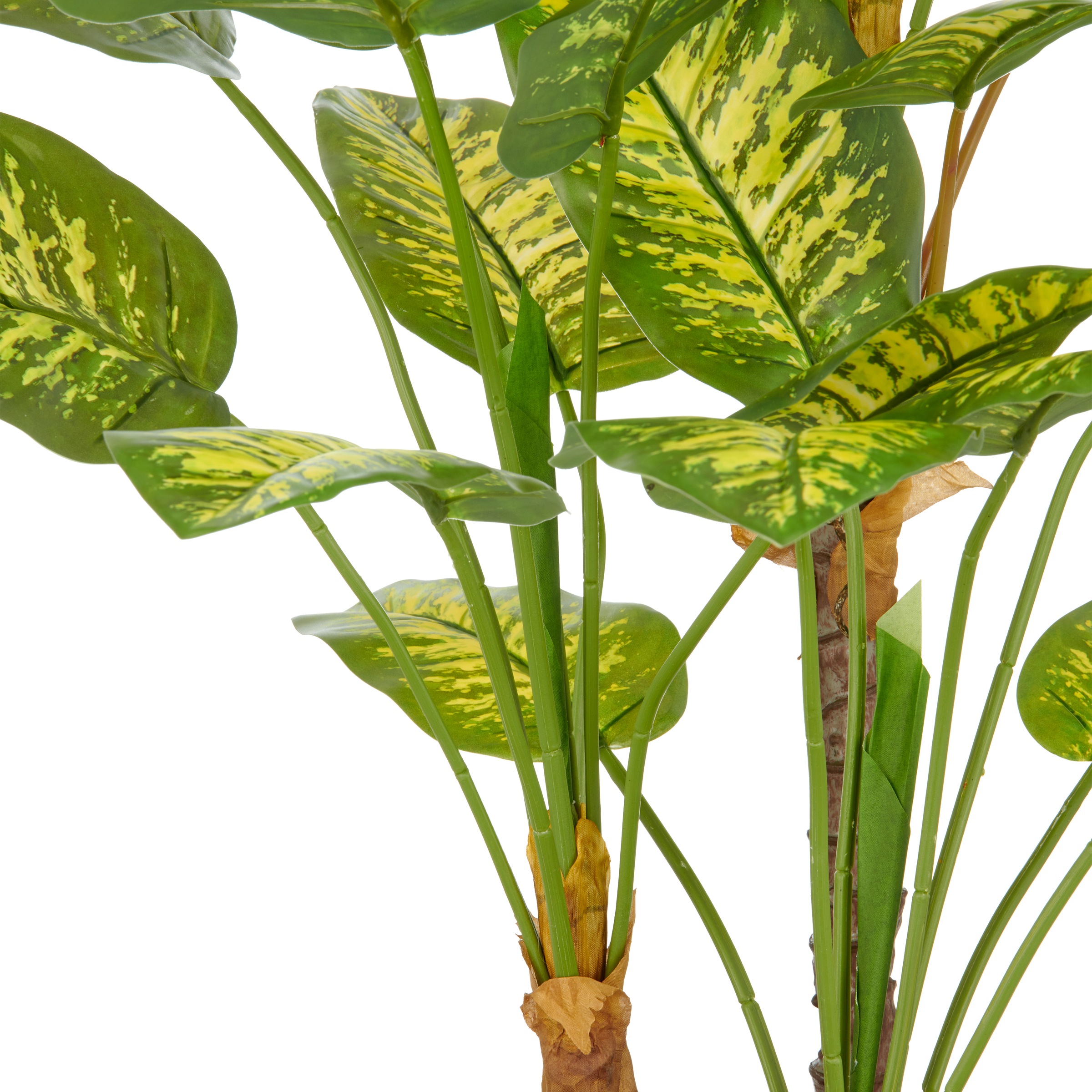Creativ green Kunstpflanze »Dieffenbachia«, mit naturgetreuer Gestaltung