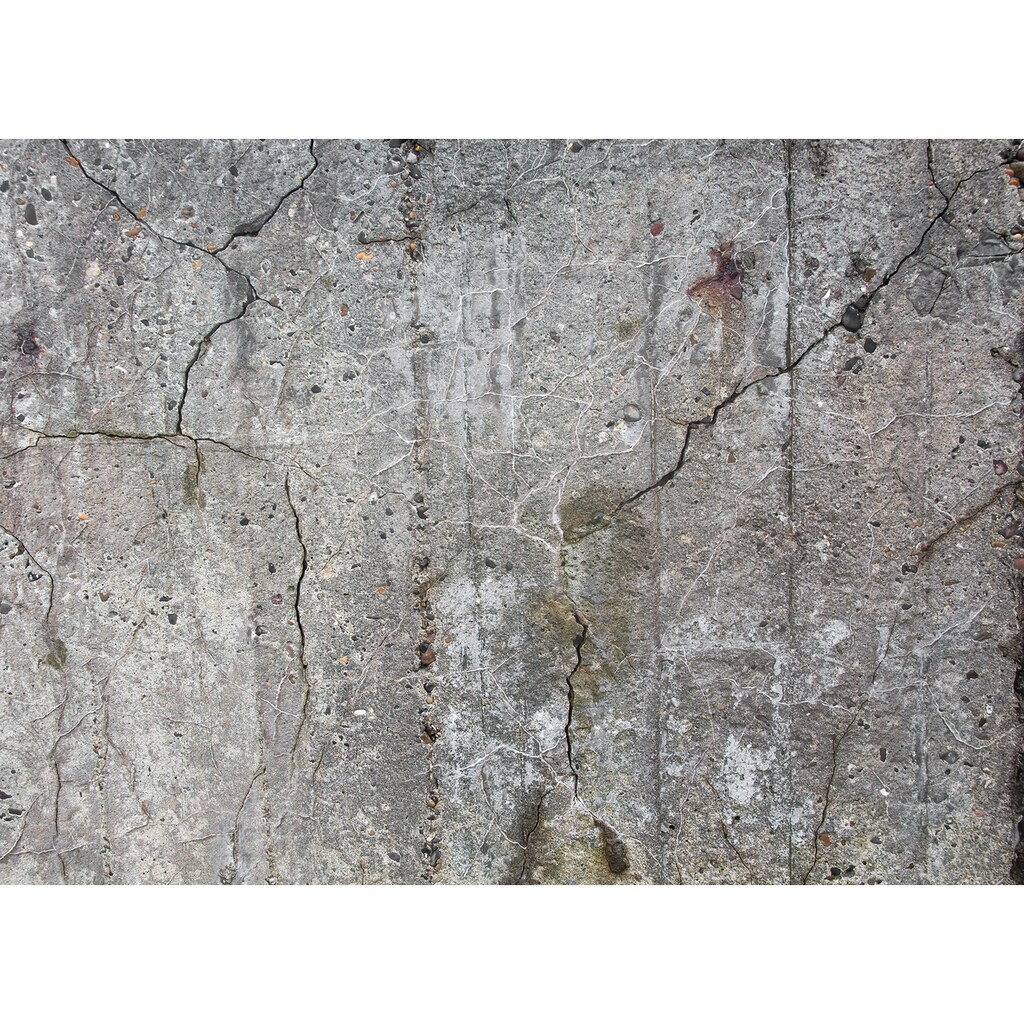 living walls Fototapete »Designwalls Old Concrete«
