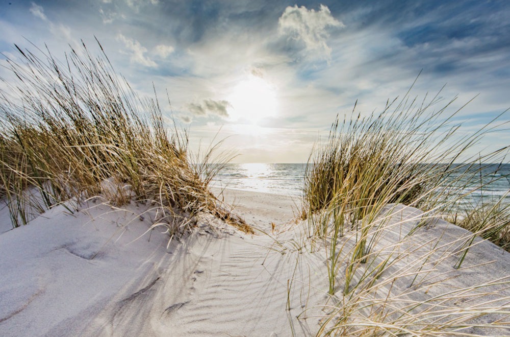 Bönninghoff Leinwandbild, Strand-Strandbilder-Meer-Meer Bilder-Natur-Landsc günstig online kaufen