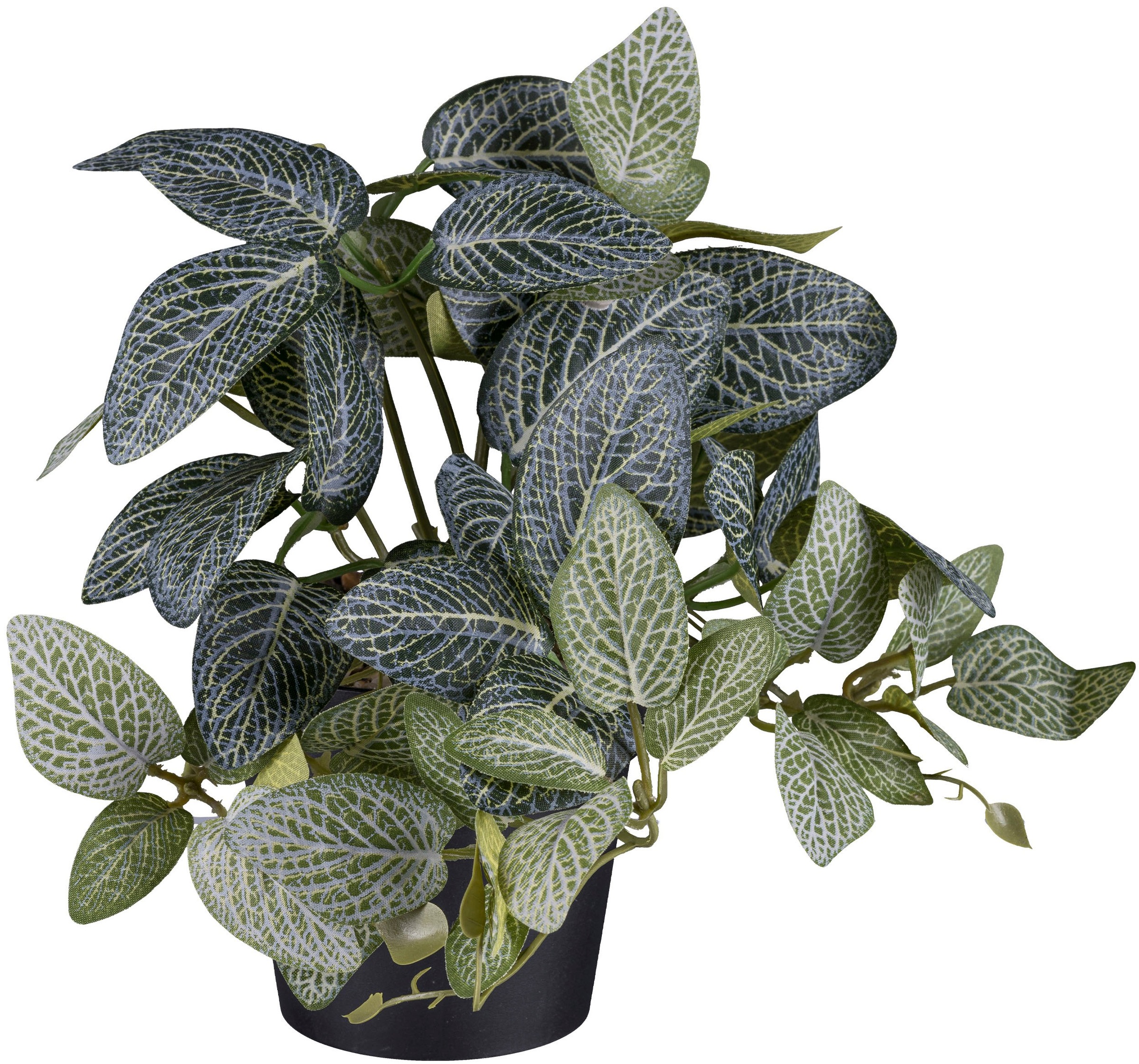 Creativ green Künstliche Zimmerpflanze "Caladium und Coleus und Fittonia", günstig online kaufen