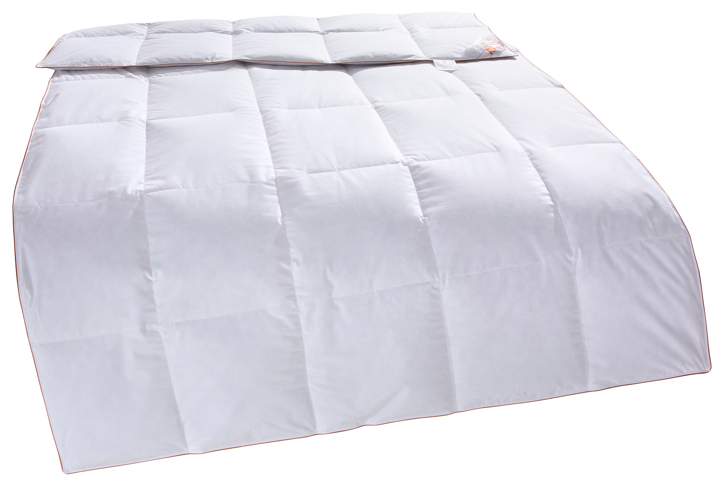 RIBECO Daunenbettdecke "Richard, Bettdecken für Sommer oder Winter, Made in günstig online kaufen