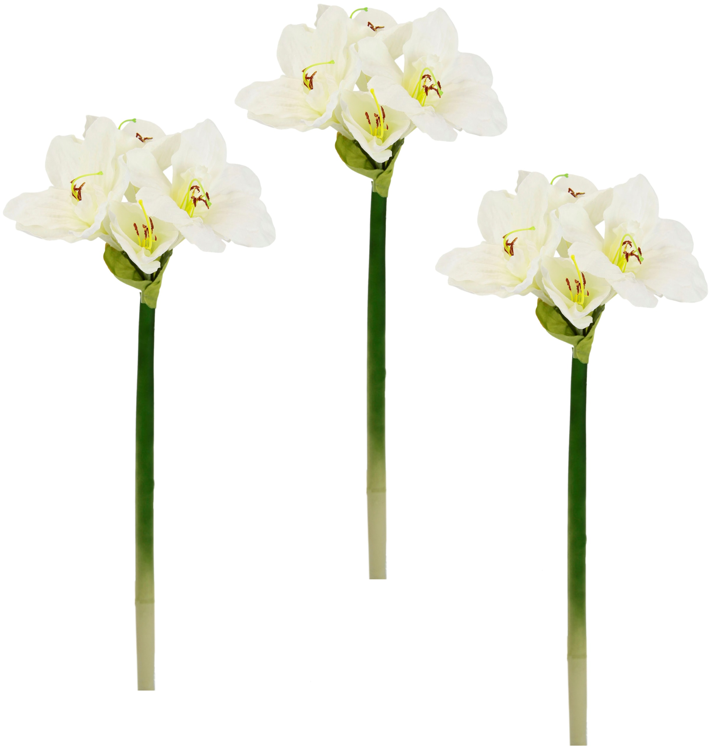 I.GE.A. Kunstblume "Amaryllis", Kunst-Stielblume, 3er Set günstig online kaufen