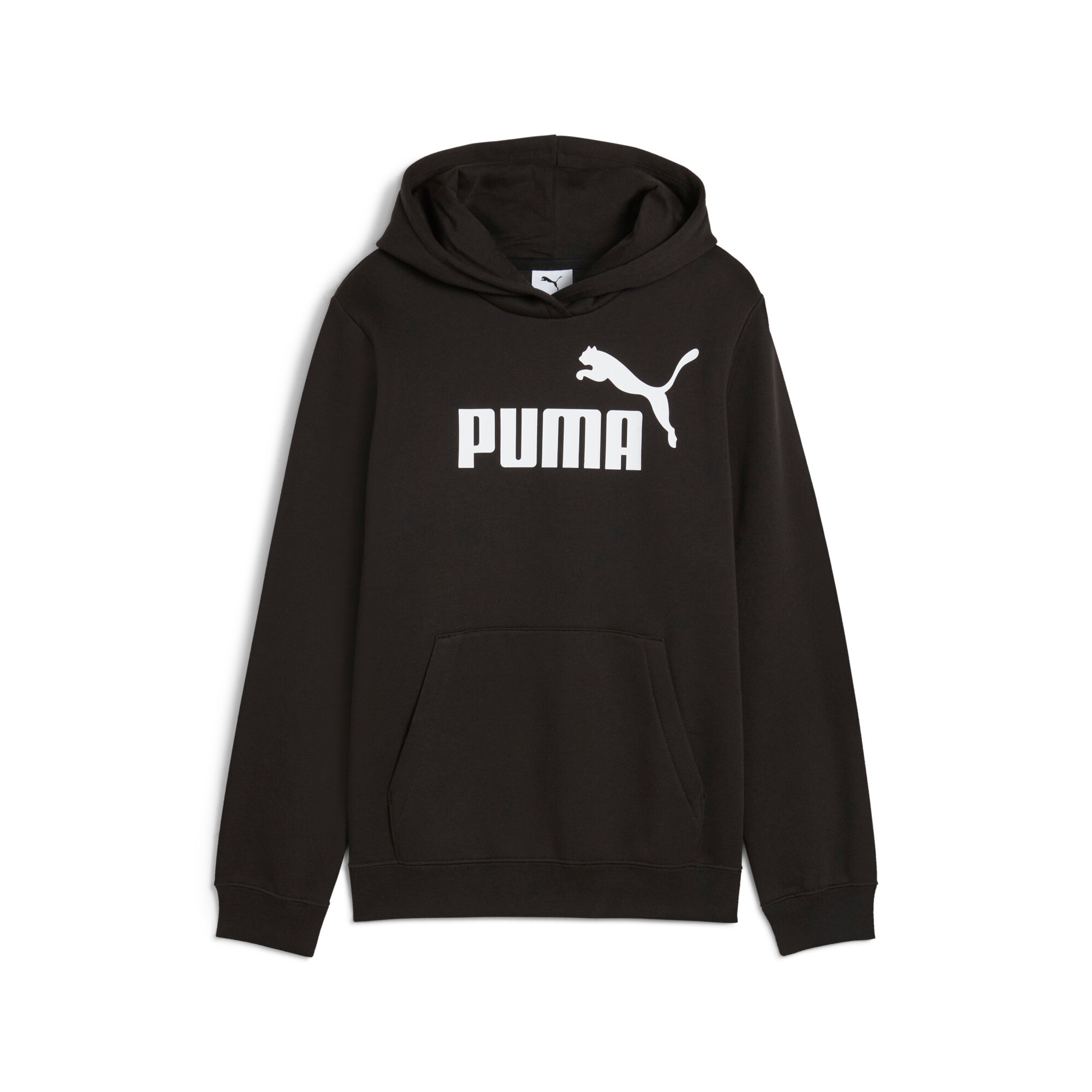 PUMA Kapuzensweatshirt »ESS NO. 1 LOGO HOODIE FL G«