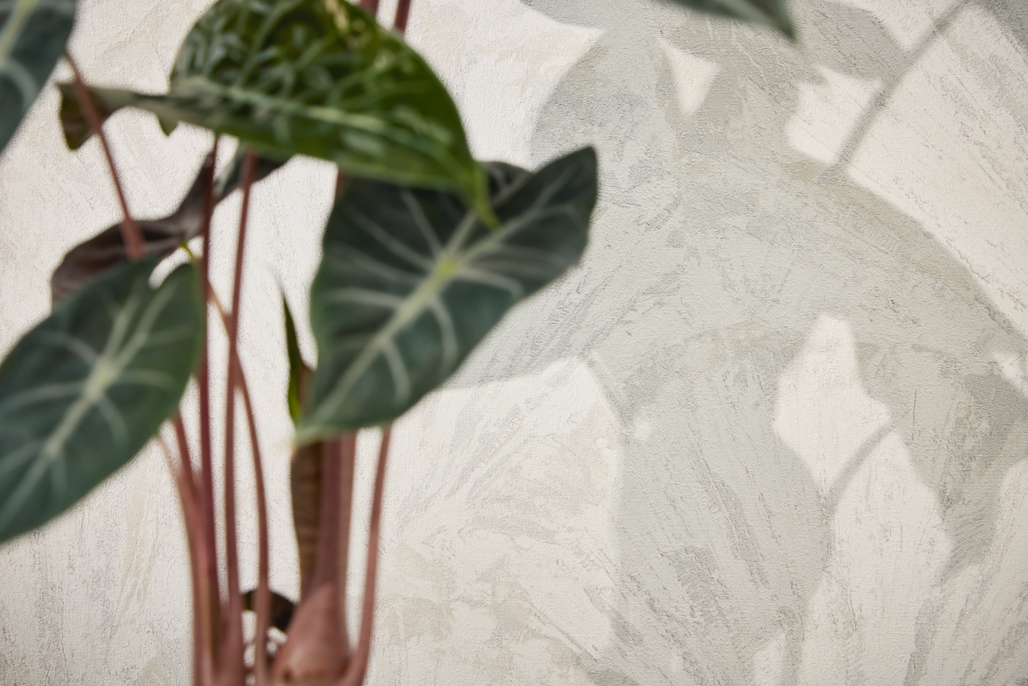 living walls Vliestapete »Abstrakte strukturierte Vliestapete diverse Farben« 3D-Optik strukturiert