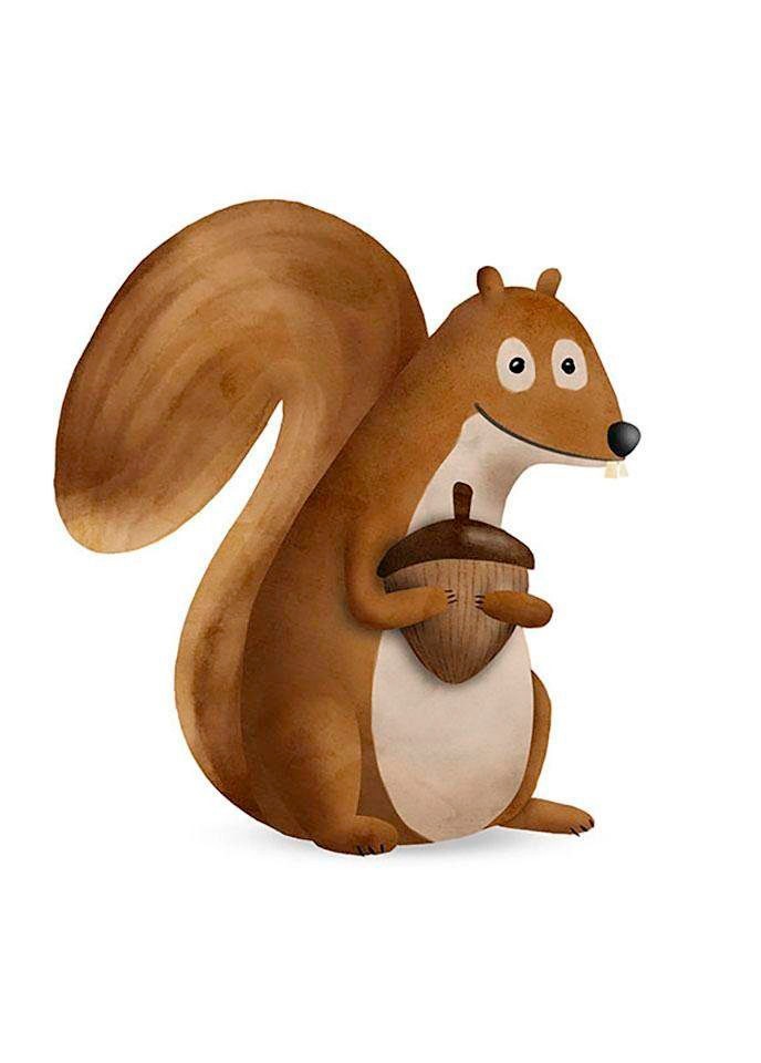 Komar Bild »Cute Animal Squirrel« Tiere 1 Stk. tlg. Wandbild zur Dekoration - ohne Rahmen