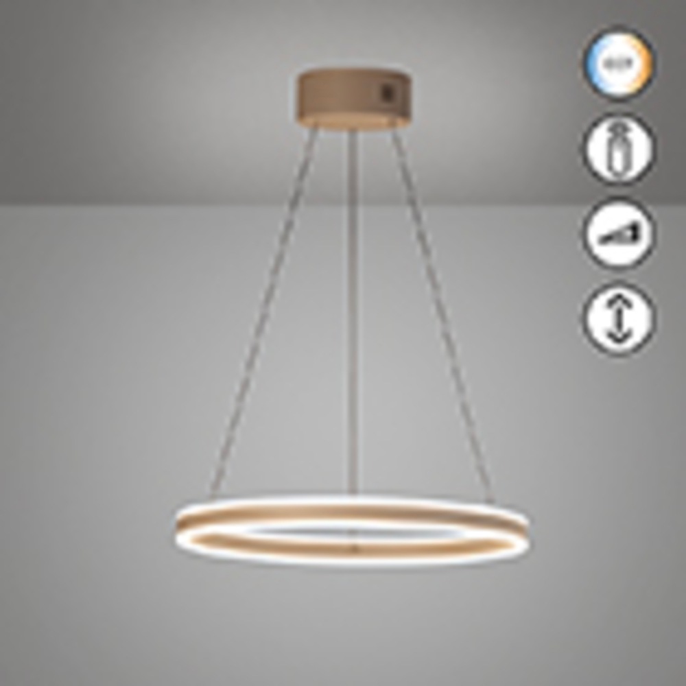 FISCHER & HONSEL Pendelleuchte »Silvio« LED-Board 1 Stk. Farbtemperatur stufenlos einstellbar, höhenverstellbar mit Kabellift