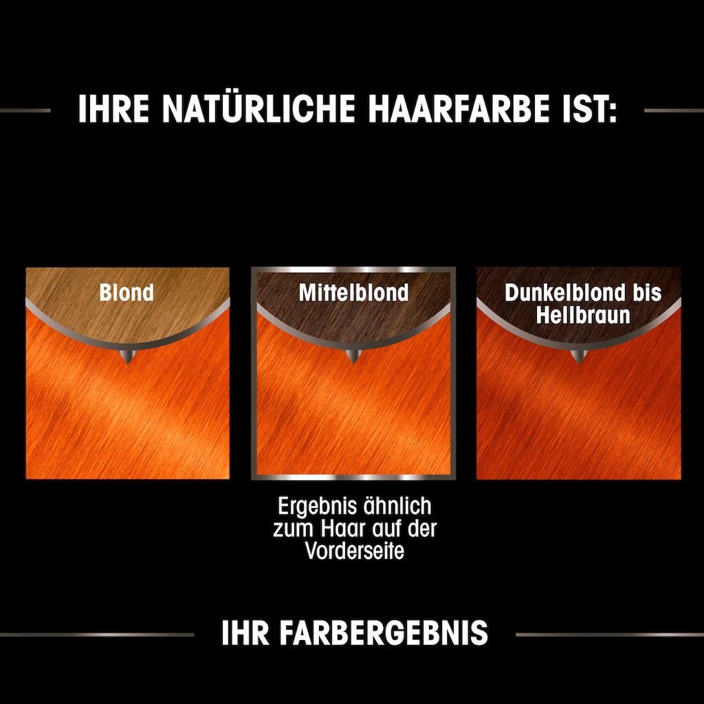 GARNIER Coloration »Garnier Olia dauerhafte Haarfarbe«, (Set, 3 tlg.)