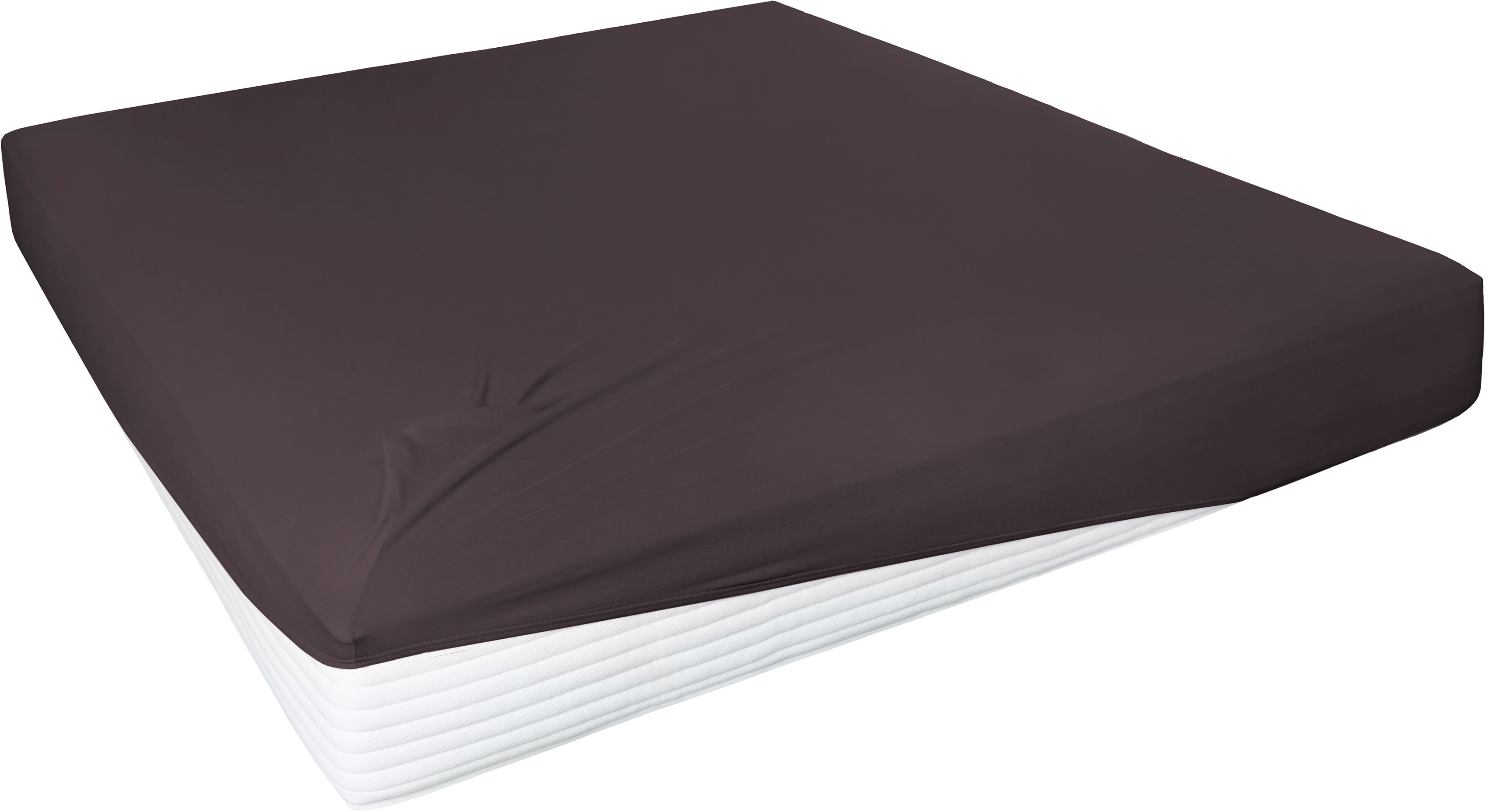 Primera Spannbettlaken "Elasthan-Feinjersey" PREMIUM, aus 95% gekämmter Baumwolle und 5% Elasthan, bis 28 cm Höhe