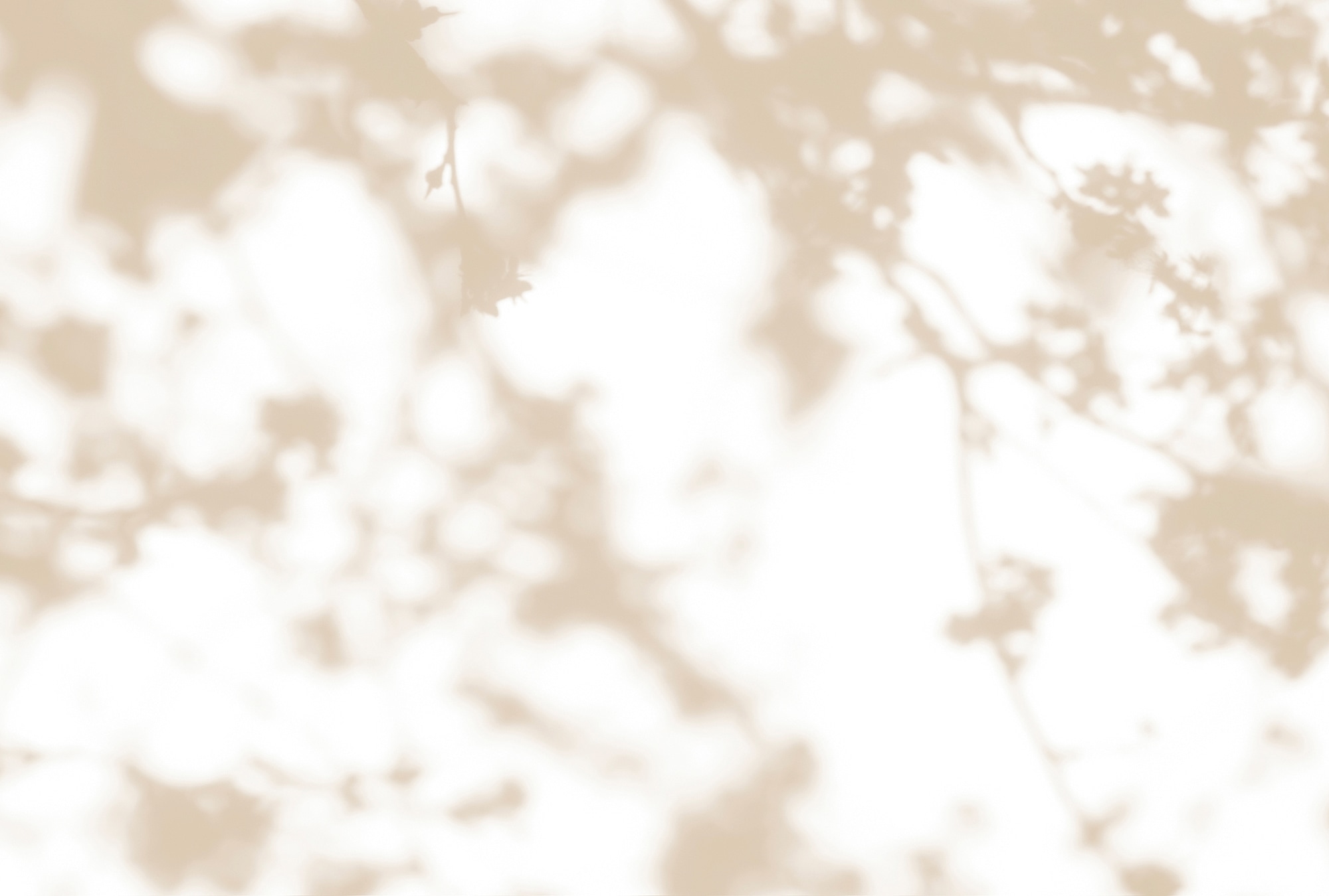 LIVING WALLS Fototapete "Walls by Patel Light Room", B/L: 4mm x 2,7mm, beige, Wohnzimmer, Tapeten, Vlies, Wand