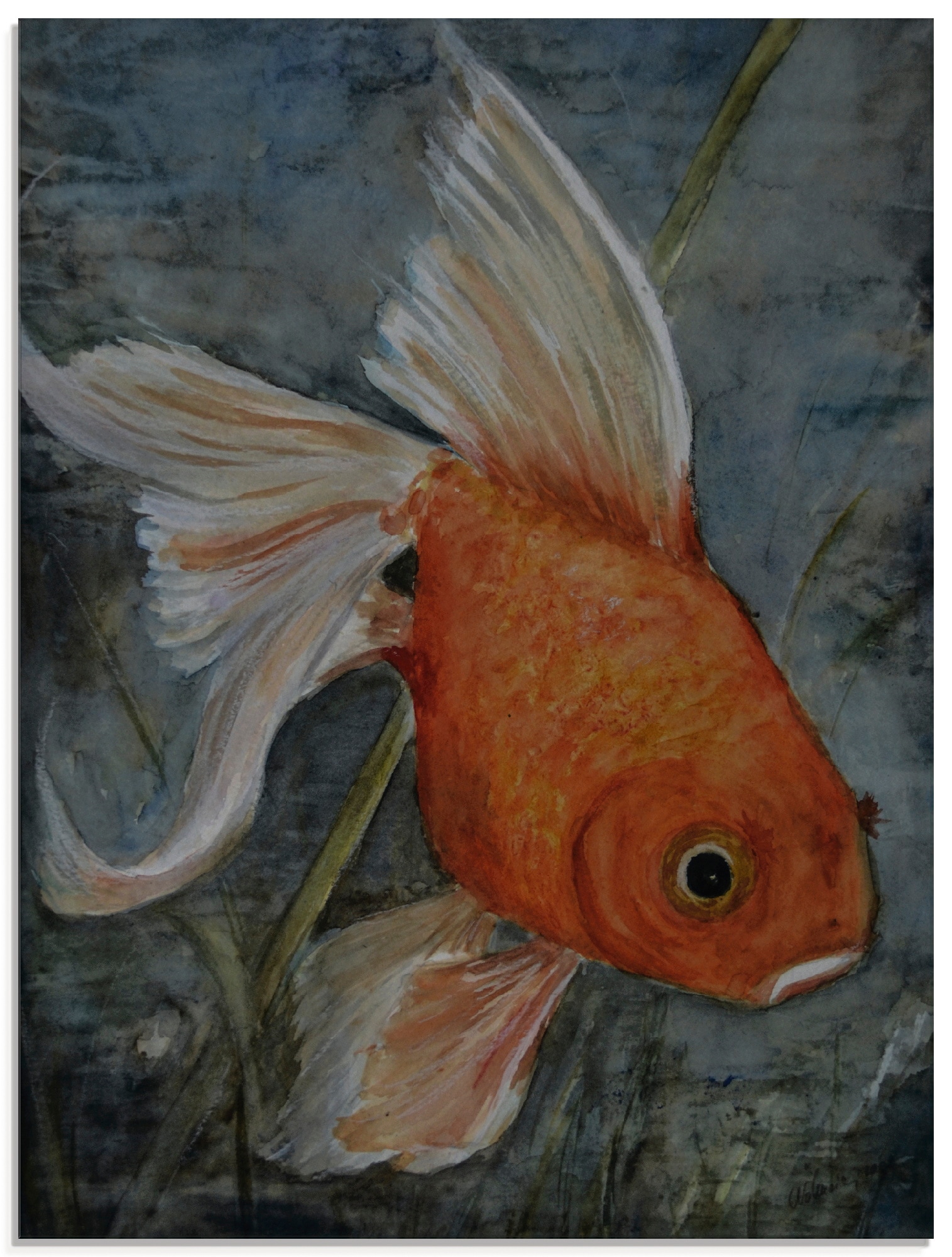 Artland Glasbild "Feng Shui - Goldfisch" Wassertiere 1 Stk. tlg. in verschiedenen Größen