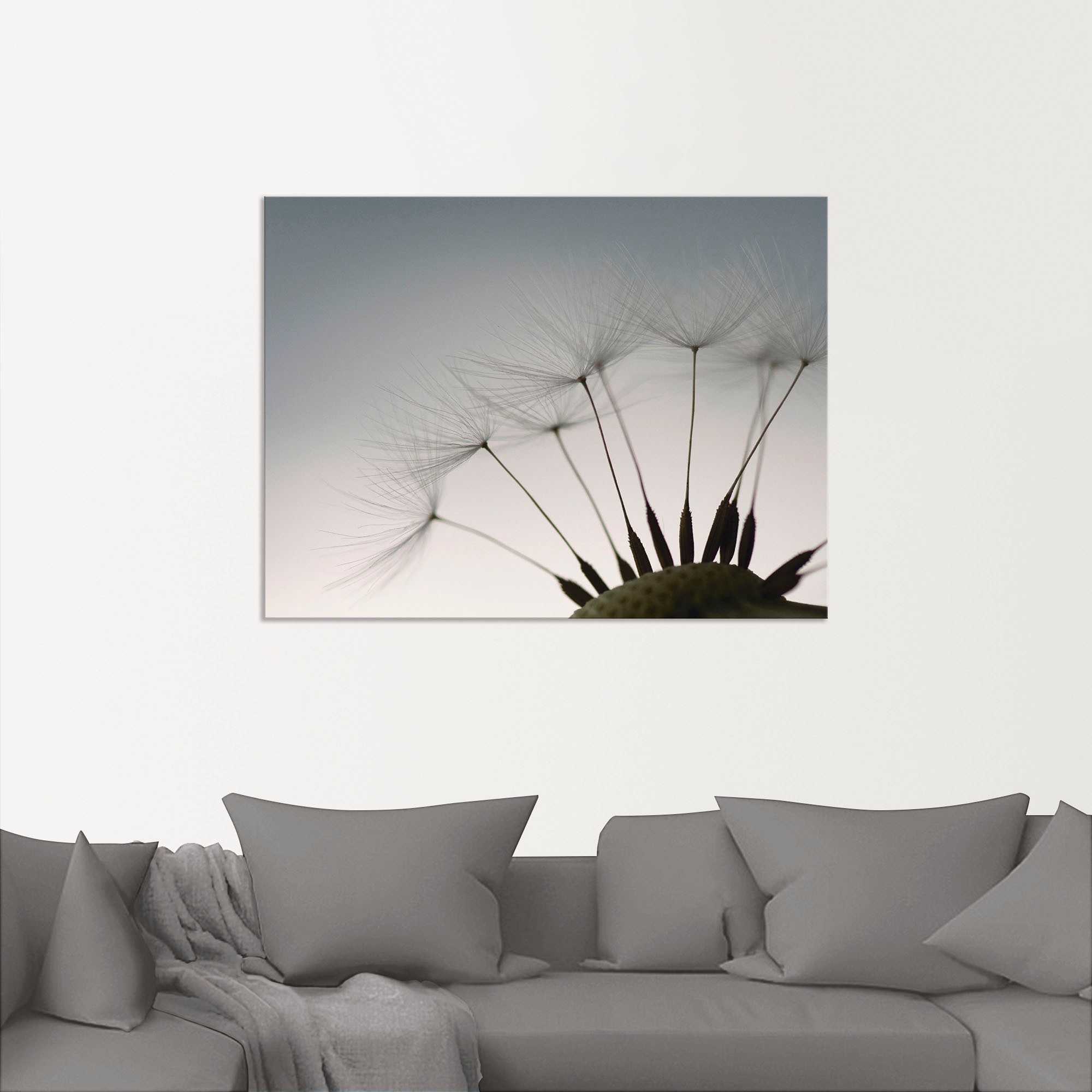 Artland Wandbild »Pusteblumen-Samen I«, Blumen, (1 St.), als Alubild, Outdoorbild, Leinwandbild, Poster in verschied. Größen