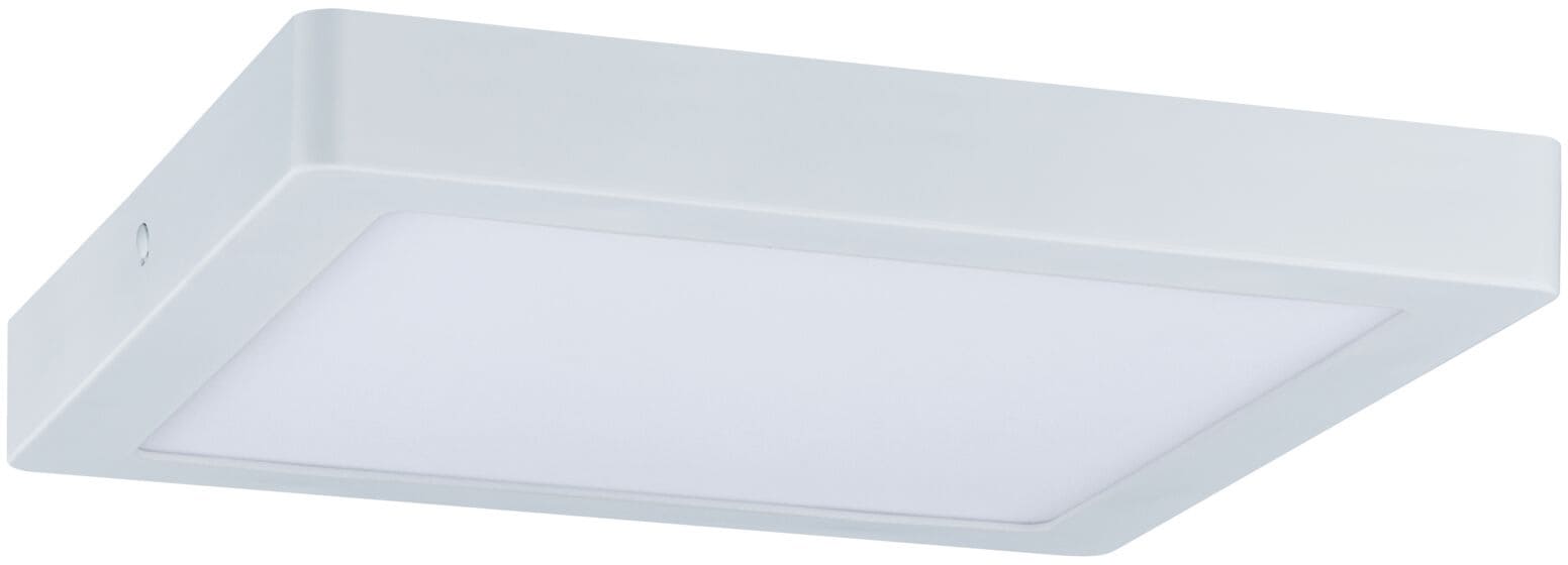 Paulmann LED Panel »Abia«, 1 flammig-flammig kaufen | BAUR