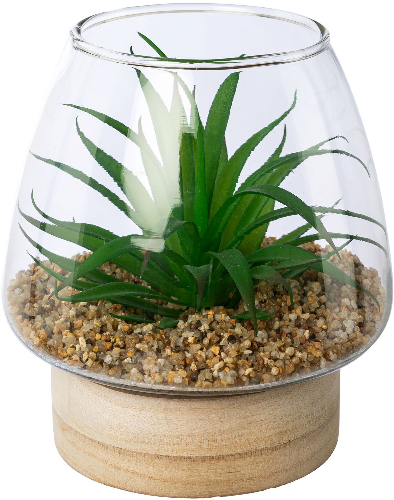 Creativ green Kunstpflanze »Sukkulenten im Glasgefäß«