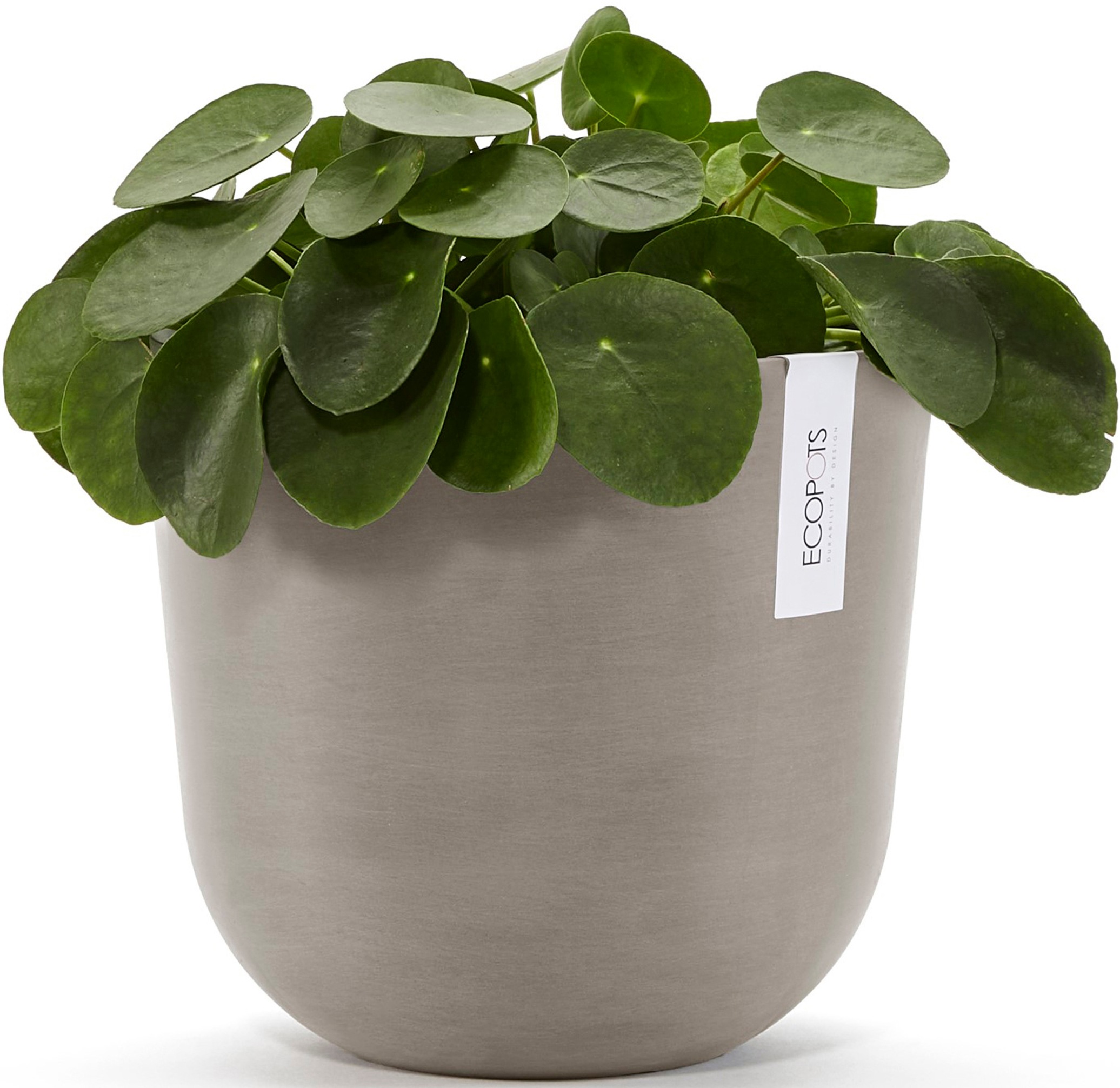 ECOPOTS Blumentopf »Oslo 25 + Wassersystem Taupe«, für innen und außen: frostsicher, bruchsicher und lichtbeständig