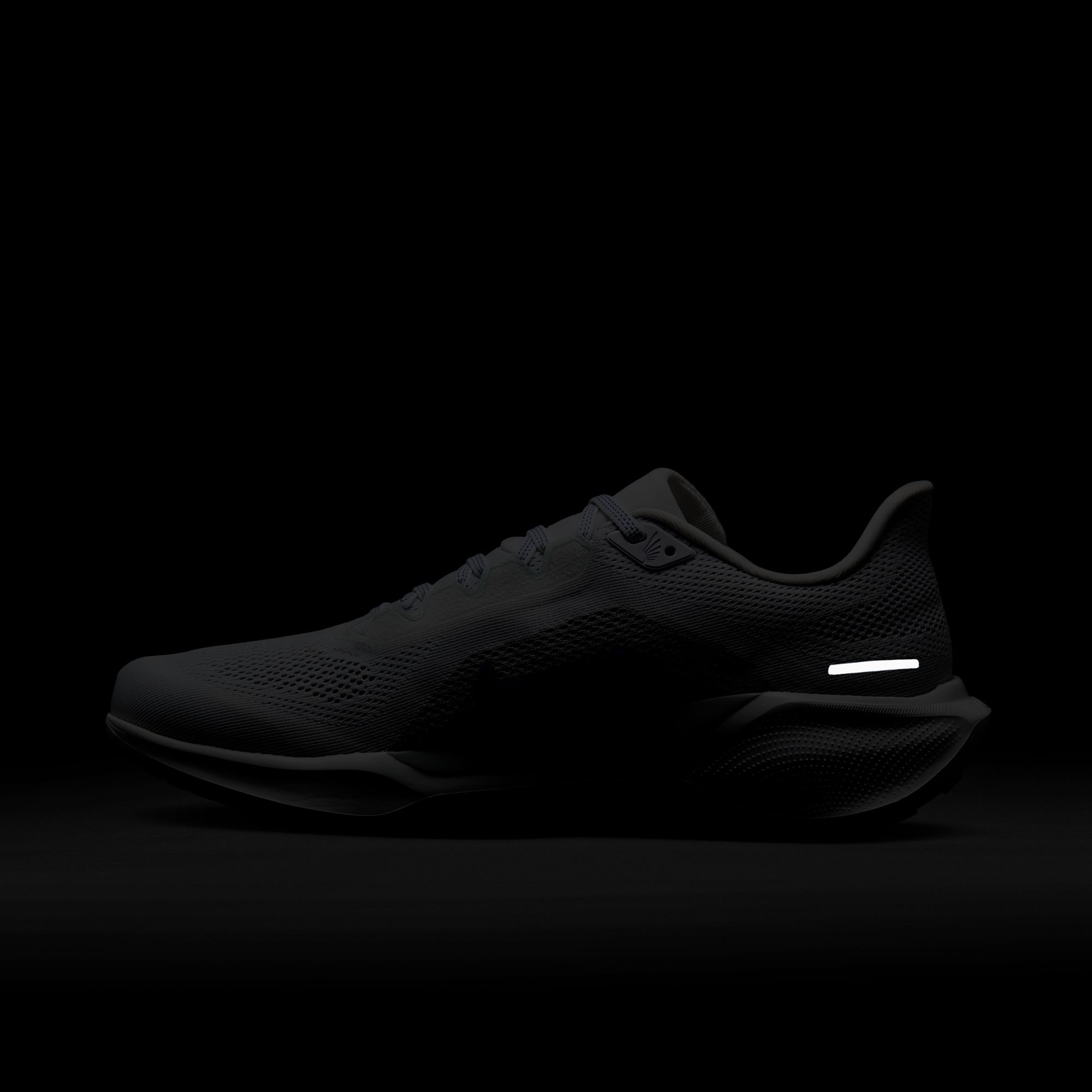Nike Laufschuh »AIR ZOOM PEGASUS 41«