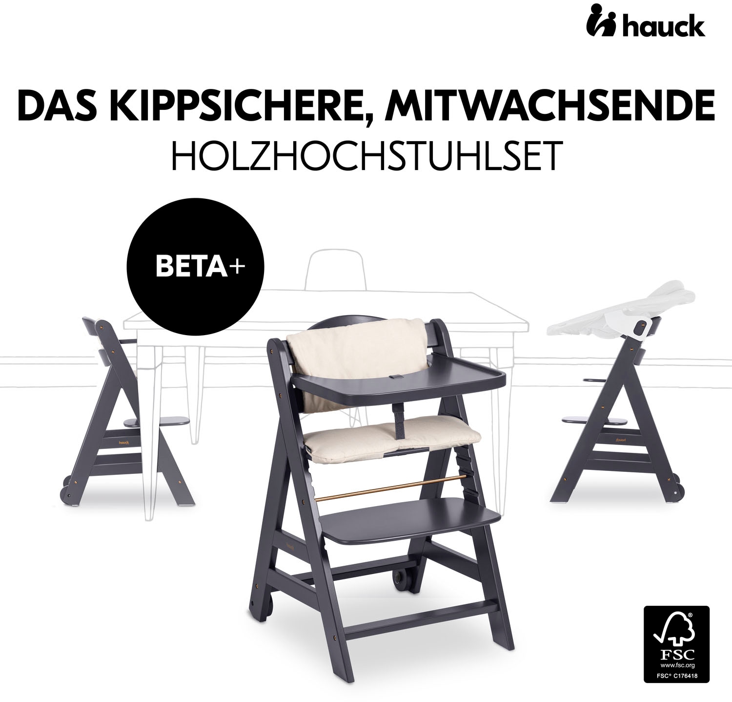 Hauck Hochstuhl »Beta+, Dark Grey«, FSC® - schützt Wald - weltweit