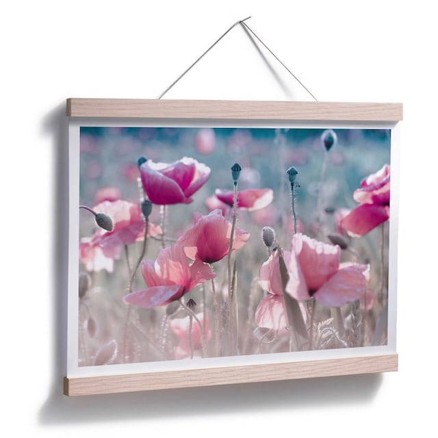 Black Friday Wall-Art Poster »Mohnblumen Wiese«, Blumen, (1 St.) | BAUR