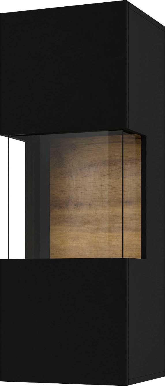 INOSIGN Hängevitrine "Ava, Breite 36 cm, hängend montierbar", moderne griff günstig online kaufen