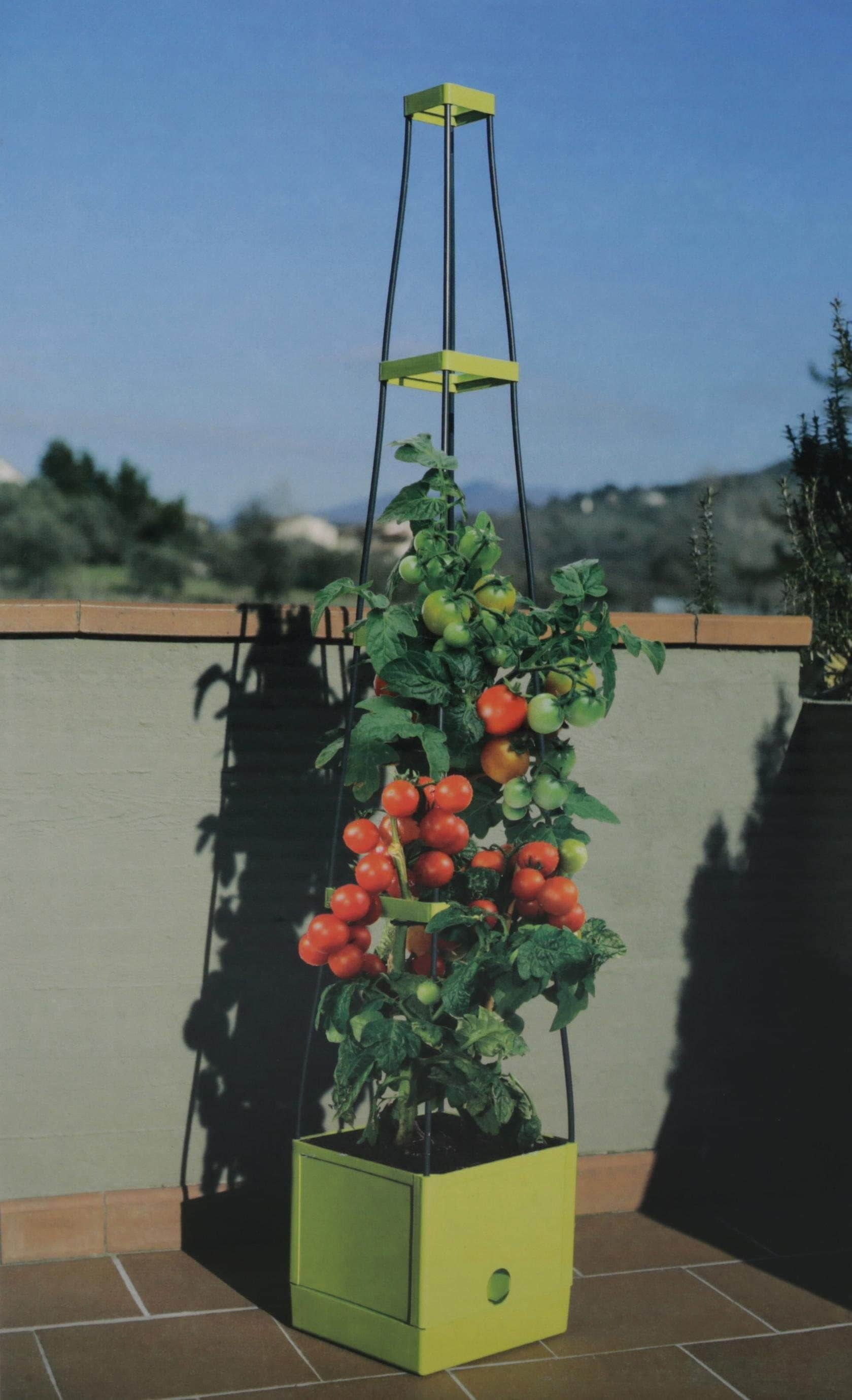 Think Garden Pflanzkübel »Tomaten Tower«