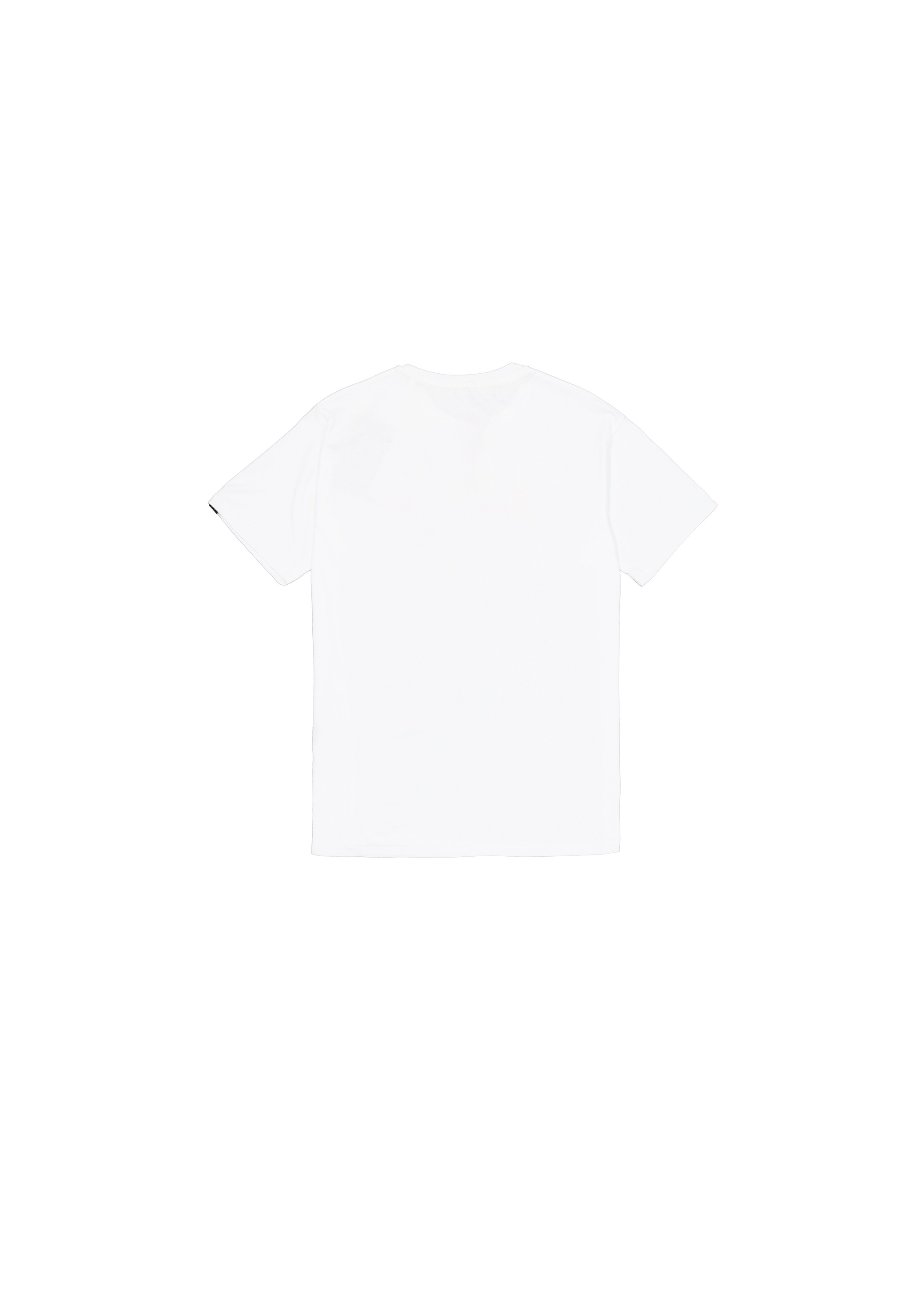 Alpha Industries T-Shirt "Basic Mid Logo TPU T-Shirt" günstig online kaufen