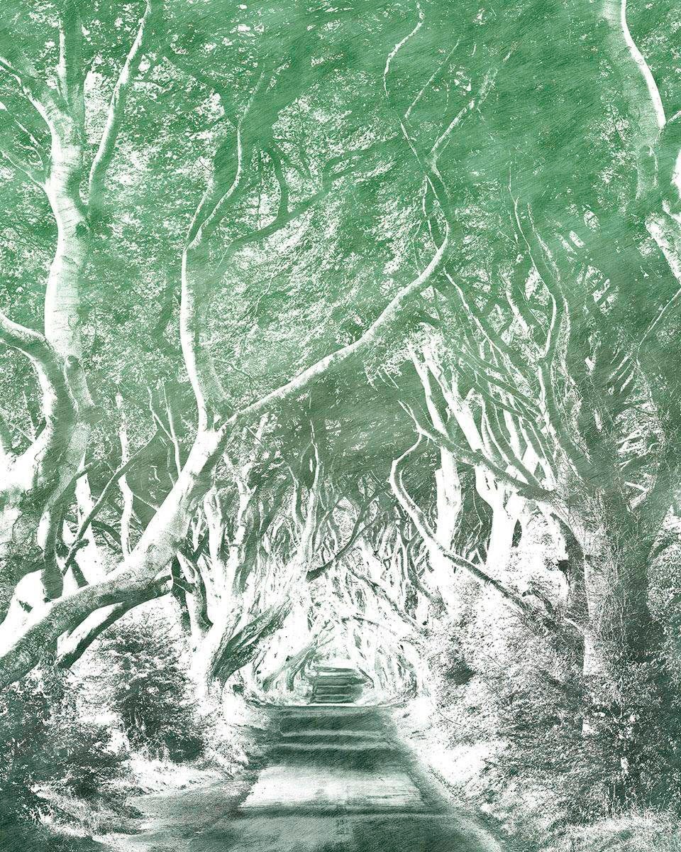 Komar Vliestapete »Alley Graphite« 200x250 c...
