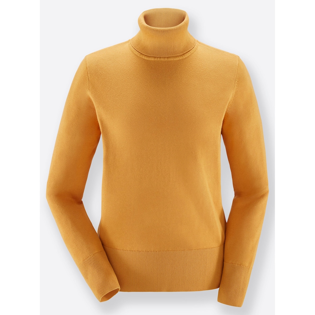 Inspirationen Rollkragenpullover »Pullover«