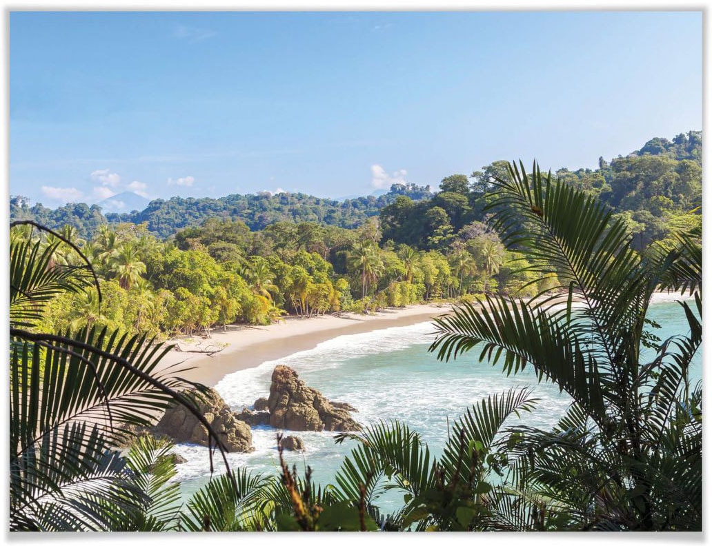 Wall-Art Poster »Dschungelblick Costa Rica«, Landschaften, (1 St.), Poster ohne Bilderrahmen