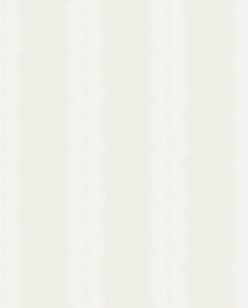 Vliestapete »Pelz - Tier - Streifen«, animal print, Glitzer Effekt - Weiß - 10m x 52cm