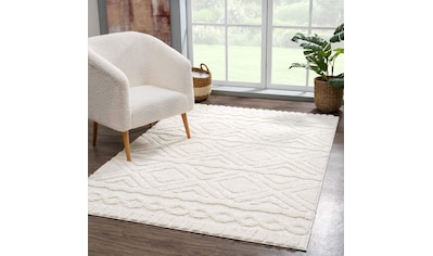 Carpet City Hochflor-Teppich »Focus«, rechteckig, Boho-Teppich, besonders weich, Hoch... kaufen