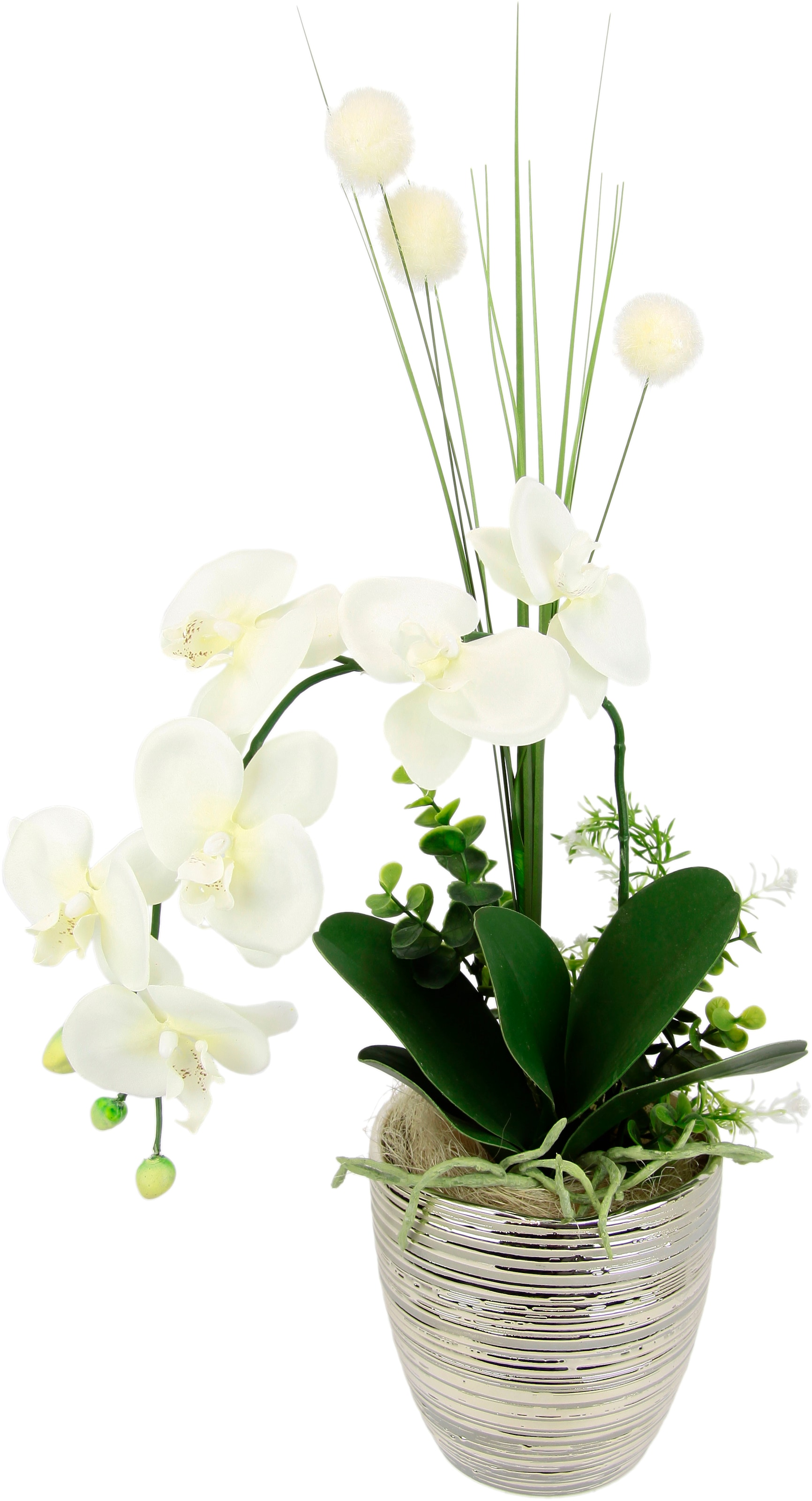 ▷ BAUR Blumen Keramik Pflanzen, & Textile I.GE.A. Online-Shop |