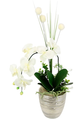 I.GE.A. Kunstblume »Arrangement Orchidee/Gras«...