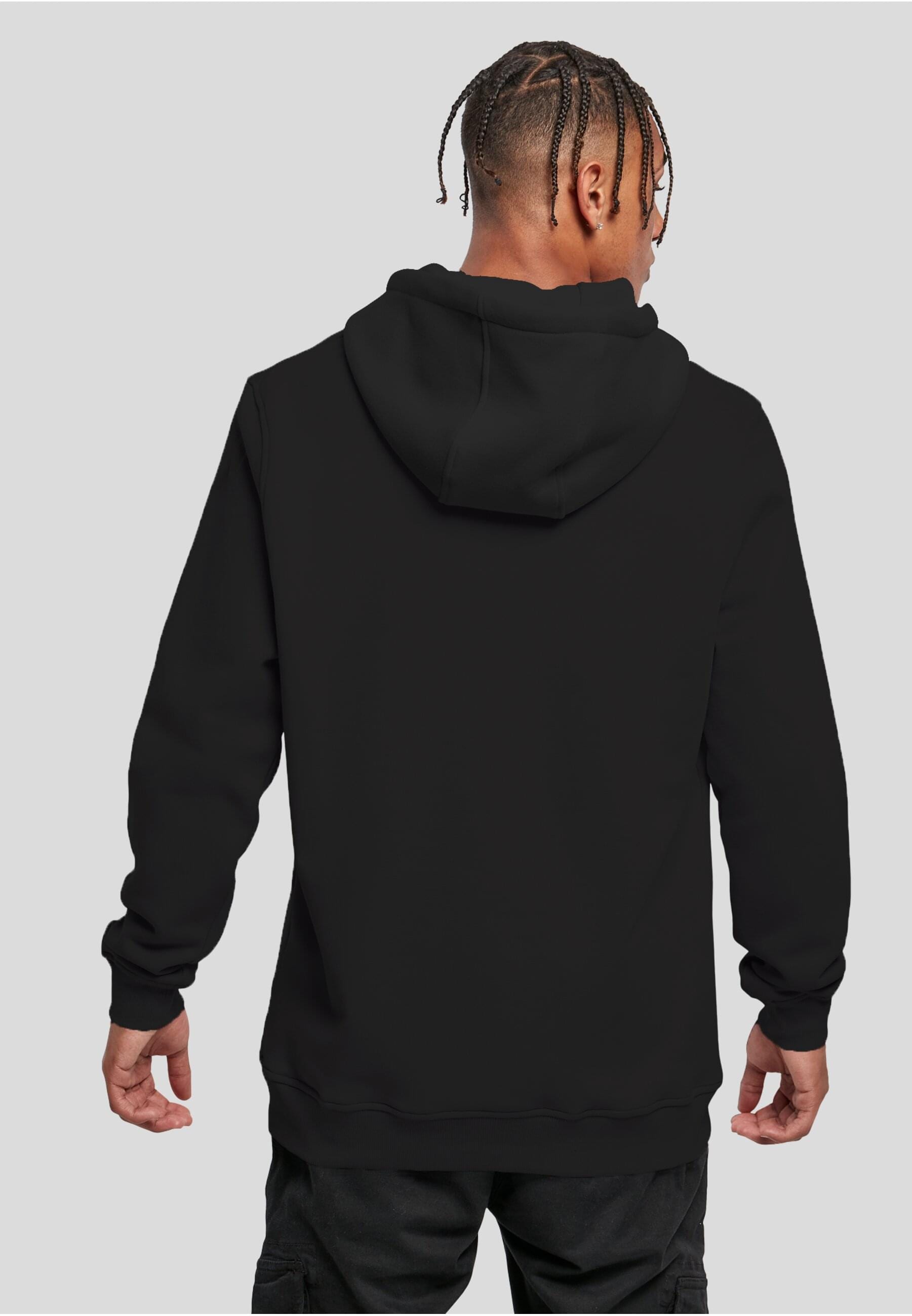 MisterTee Kapuzensweatshirt »MisterTee Herren Seagull Sneakers Hoody«, (1 tlg.)