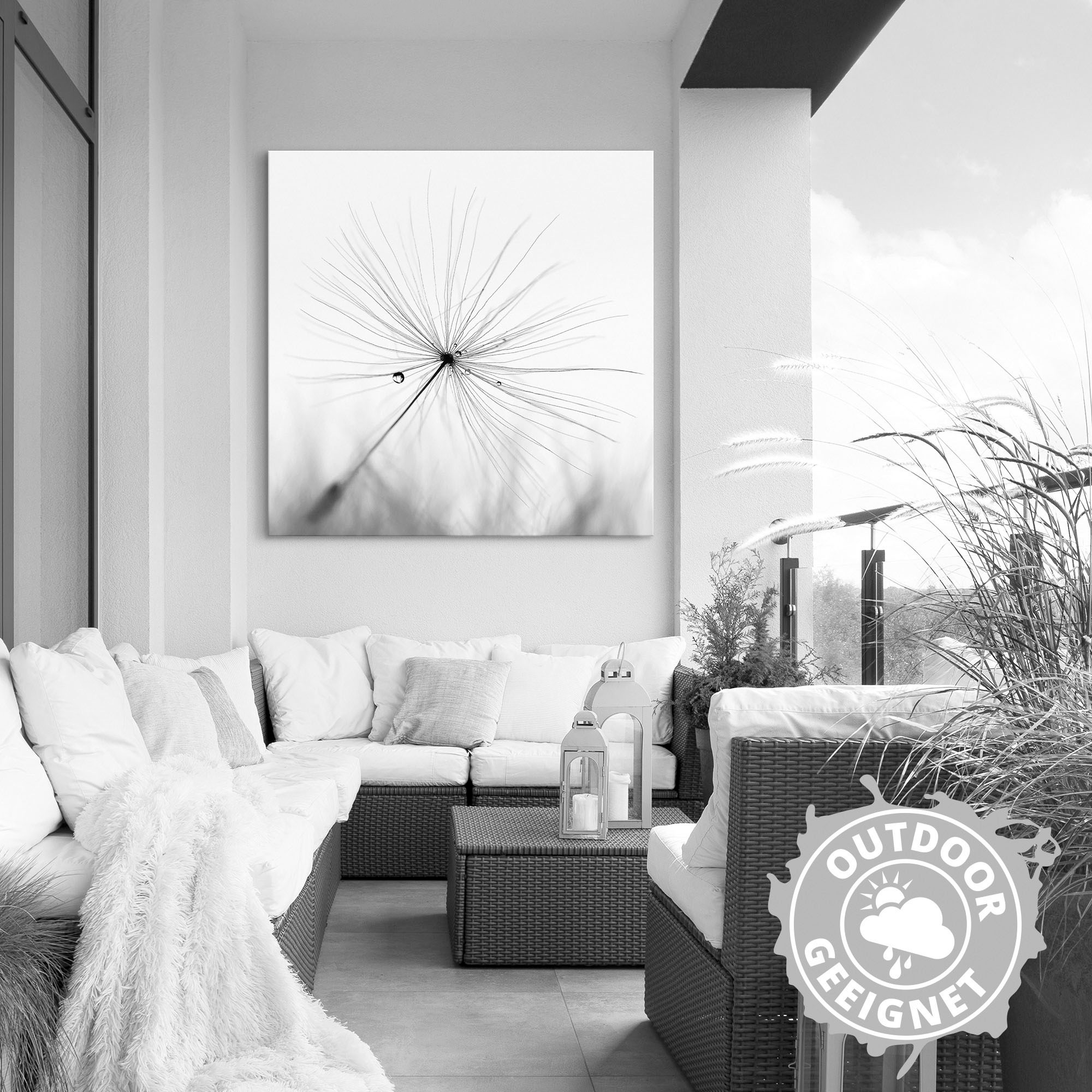 Artland Wandbild »Pusteblume Schirmchen« Blumen 1 Stk. tlg. als Alubild, Leinwandbild in verschied. Größen