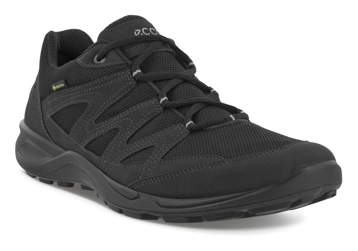 Ecco Sneaker »Terracruise LT«, mit GORE-TEX kaufen