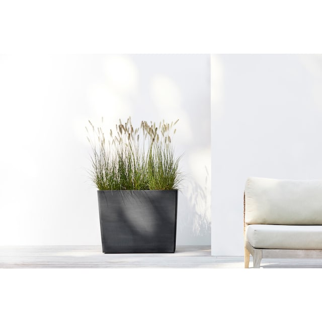 ECOPOTS Blumentopf »Paris«, BxTxH: 85x40x65 cm kaufen | BAUR