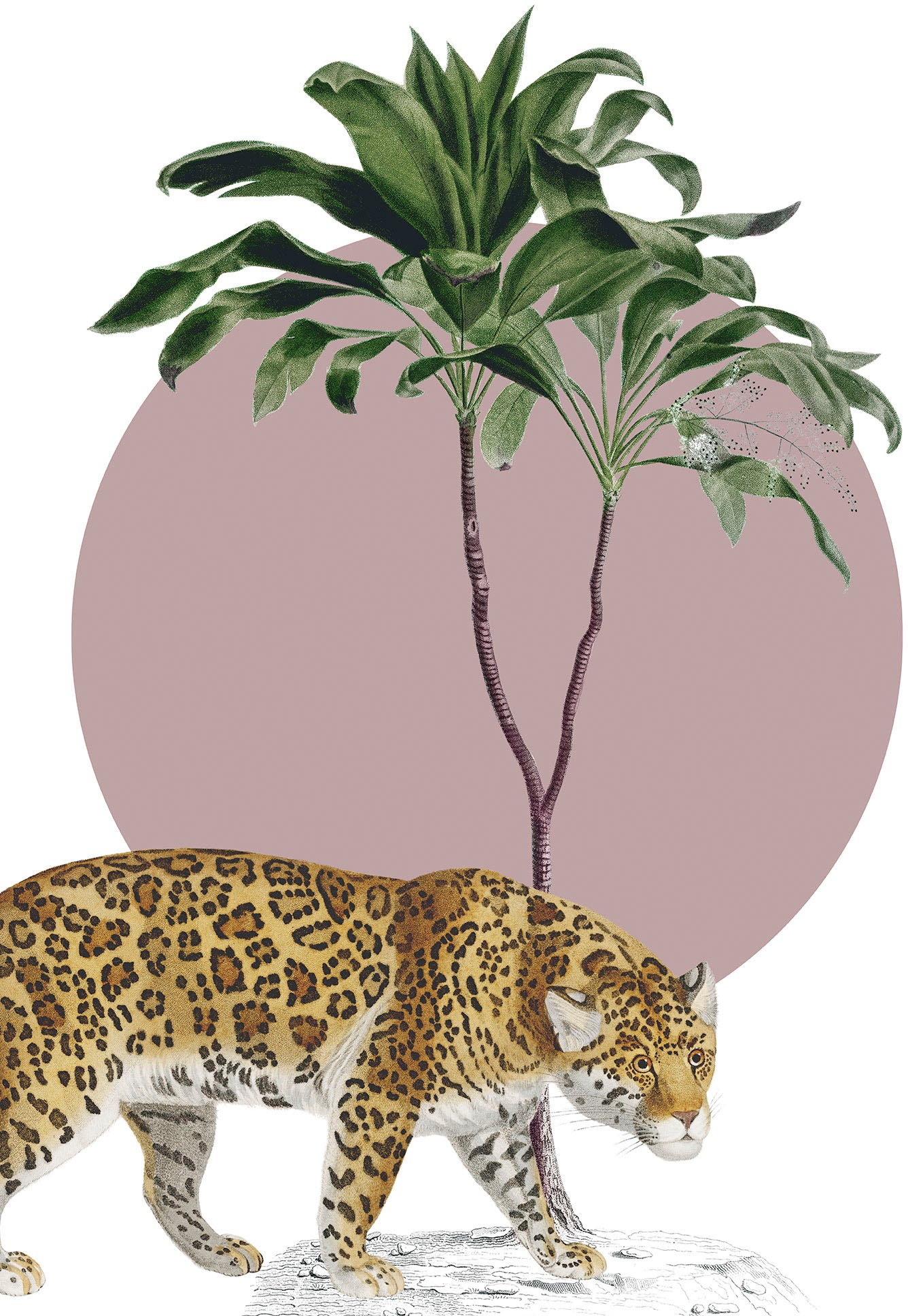 Komar Wandbild "Botanical Garden Jaguar", (1 St.), Deutsches Premium-Poster Fotopapier mit seidenmatter Oberfläche und h