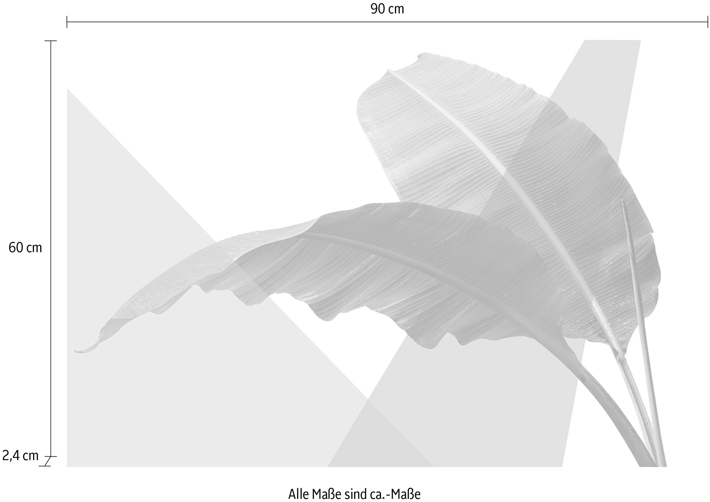 queence Acrylglasbild »Blätter« Blätter | Blätterbilder | Kunst | Pflanzen | Pflanzenbilder Fine Art-Print in Galeriequalität