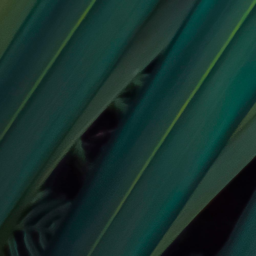 Komar Fototapete »Vlies Fototapete - Amazon Fern - Größe 400 x 250 cm«, bedruckt