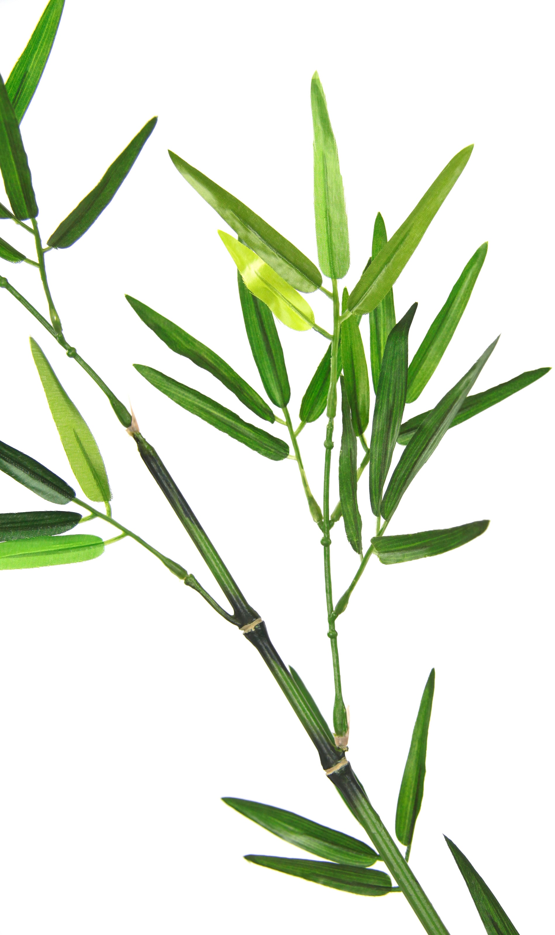 I.GE.A. Kunstpflanze »Bambuszweig«, groß bestellen | Dekozweig, Set 3er BAUR