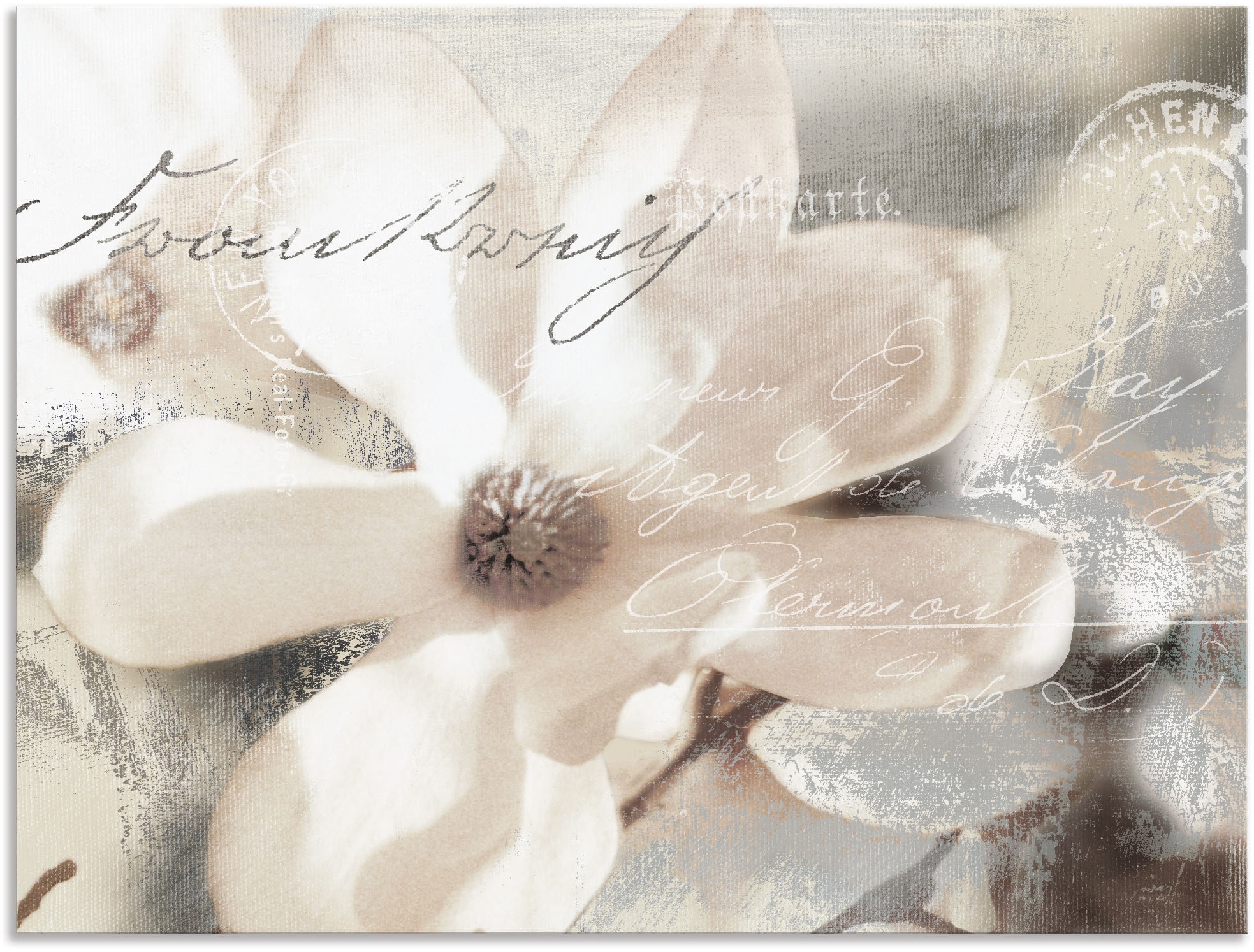 Artland Paveikslas »Magnolie_Detail« Blumenbil...