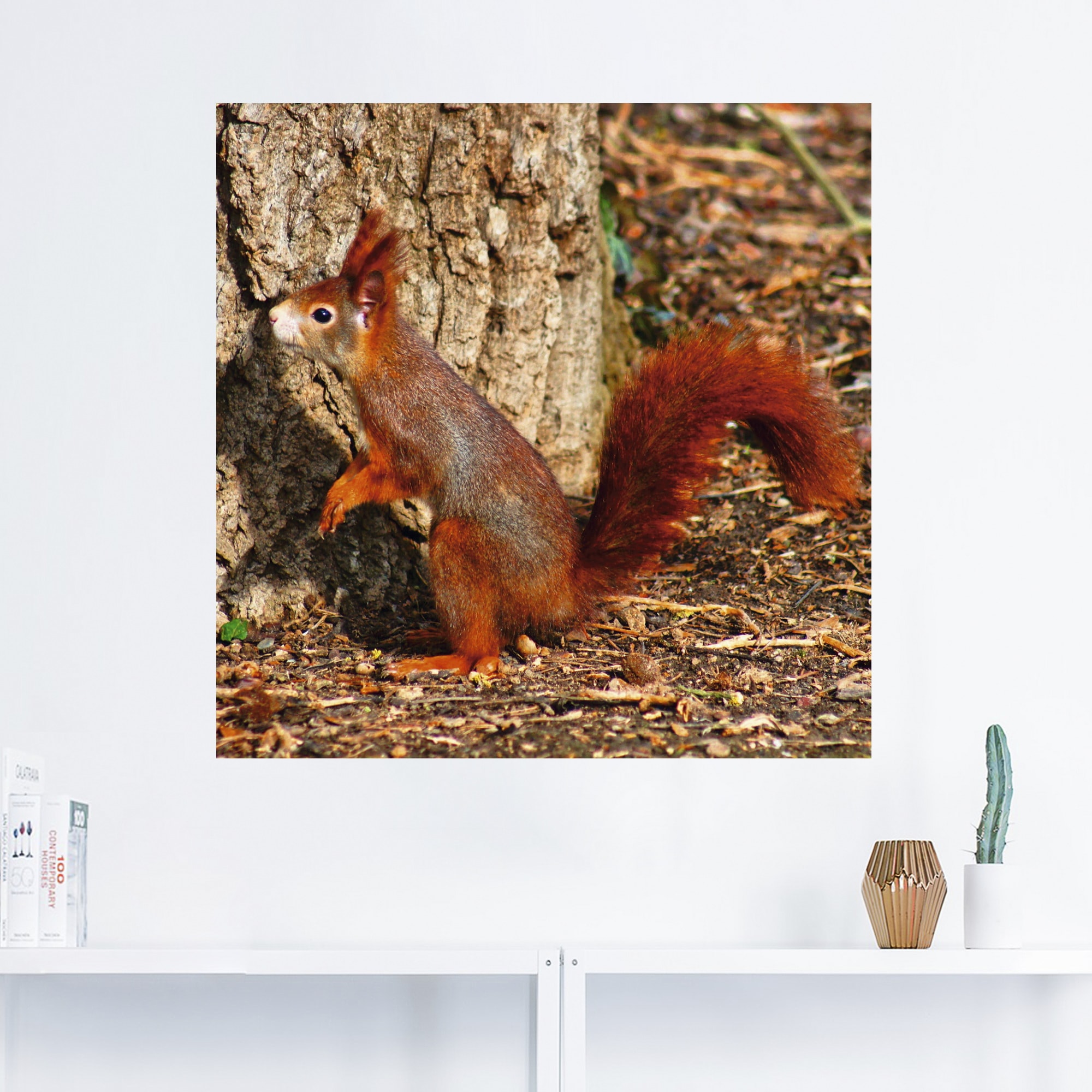 Artland Wandbild "Rotes Eichhörnchen will hoch hinaus", Wildtiere, (1 St.), günstig online kaufen